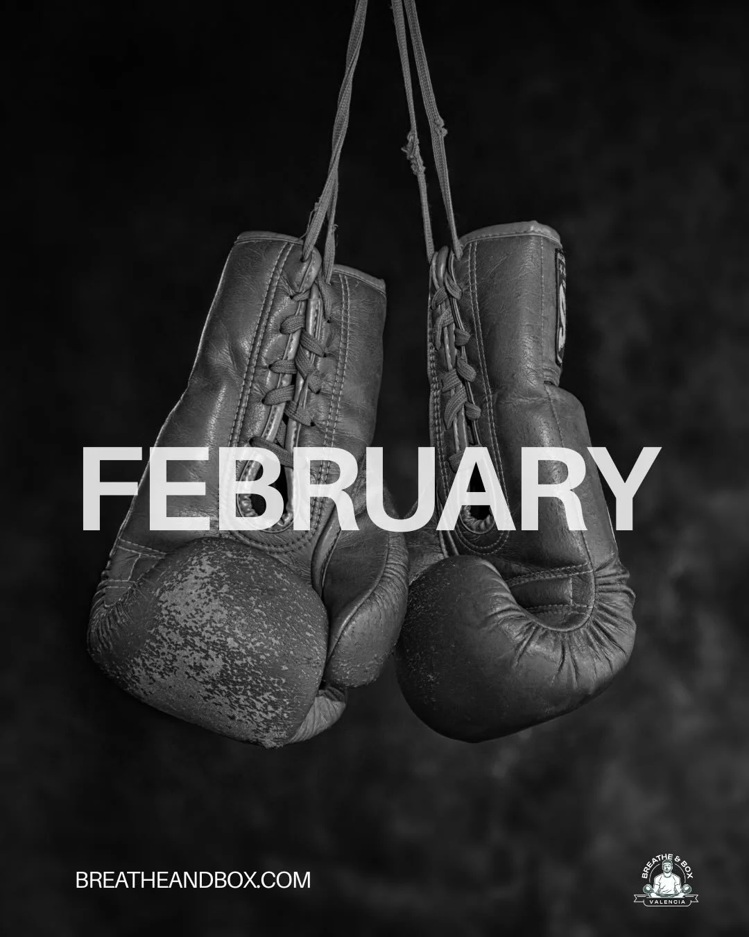 Febrero con nosotros

Bite Down. Round 2.