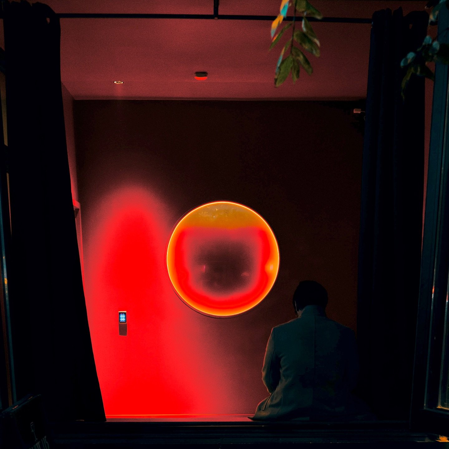 if you can&rsquo;t unlock the door, look for the red circle🔴 

#torontobar #torontospeakeasy #cocktailbars