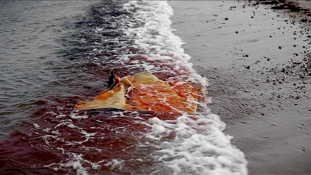 jaws raft torn.jpg