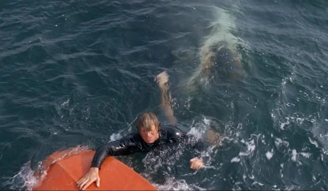 jaws pond.jpeg
