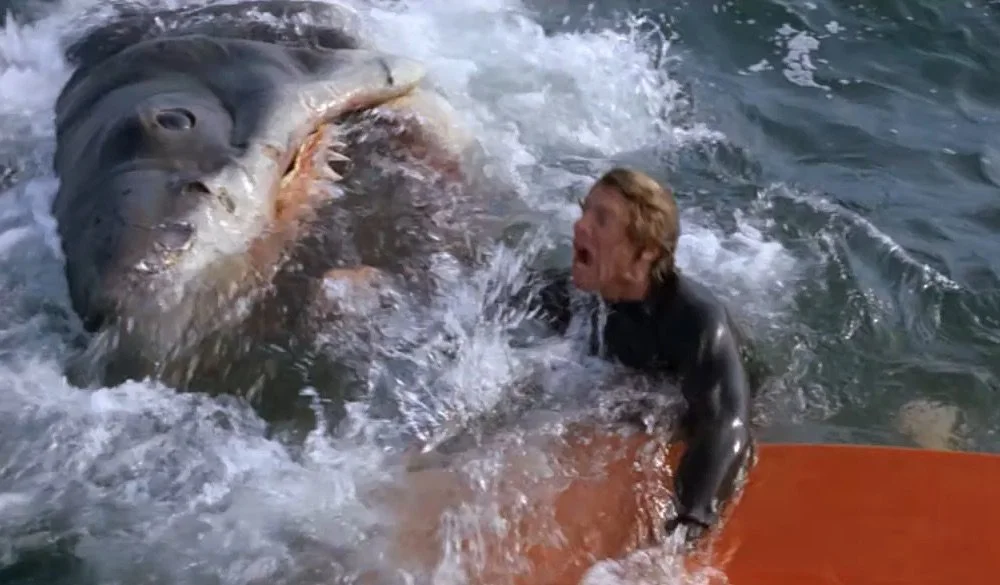 jaws-attack-scenes.jpeg
