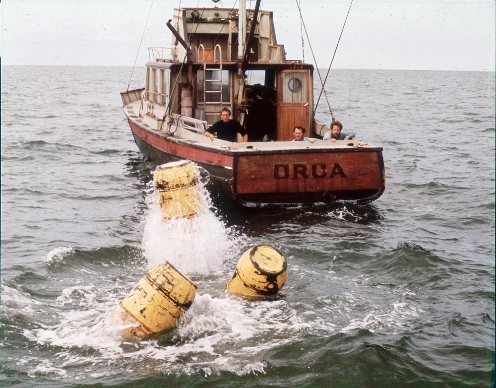 jaws_195ca1cc.jpg