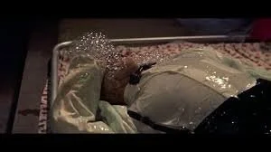 hmanbubbkes.jpeg