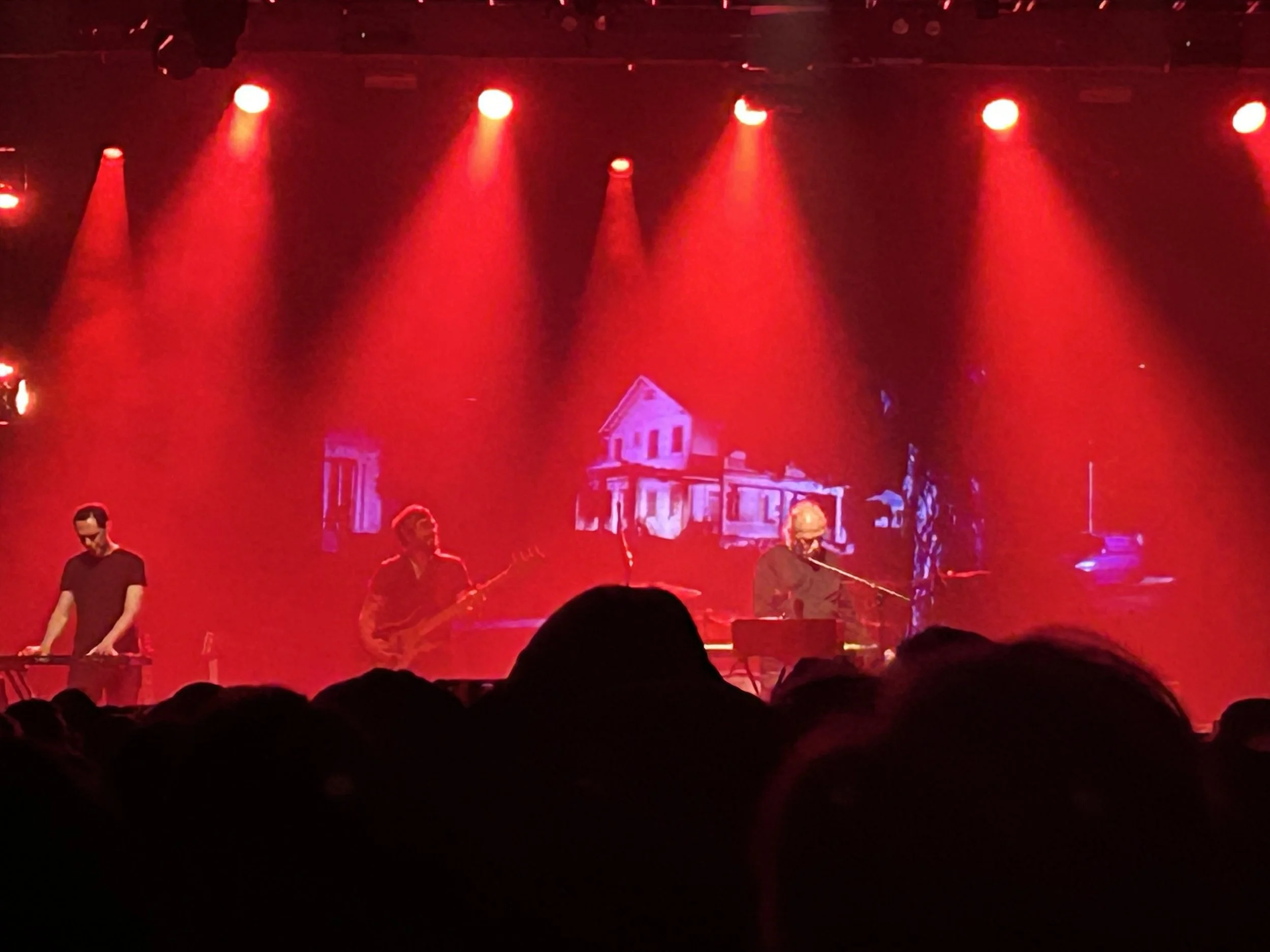 IMG_9447.jpeg