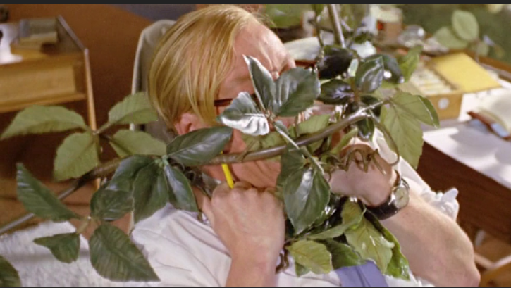 Dr. Terror’s House of Horrors: Creeping Vine (1965)