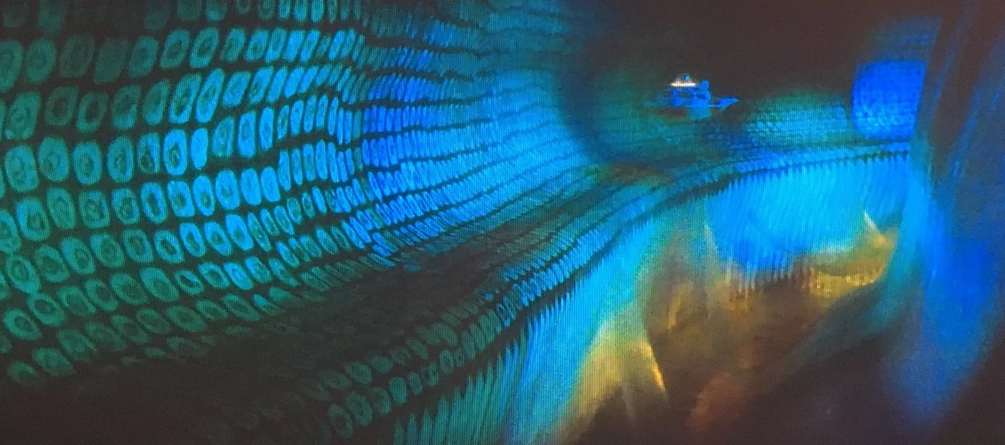 fantastictunnel.jpg