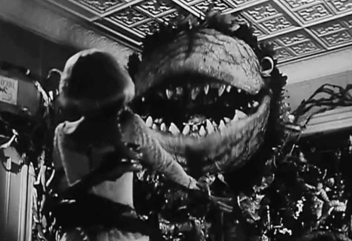 little-shop-of-horrors-1.jpg