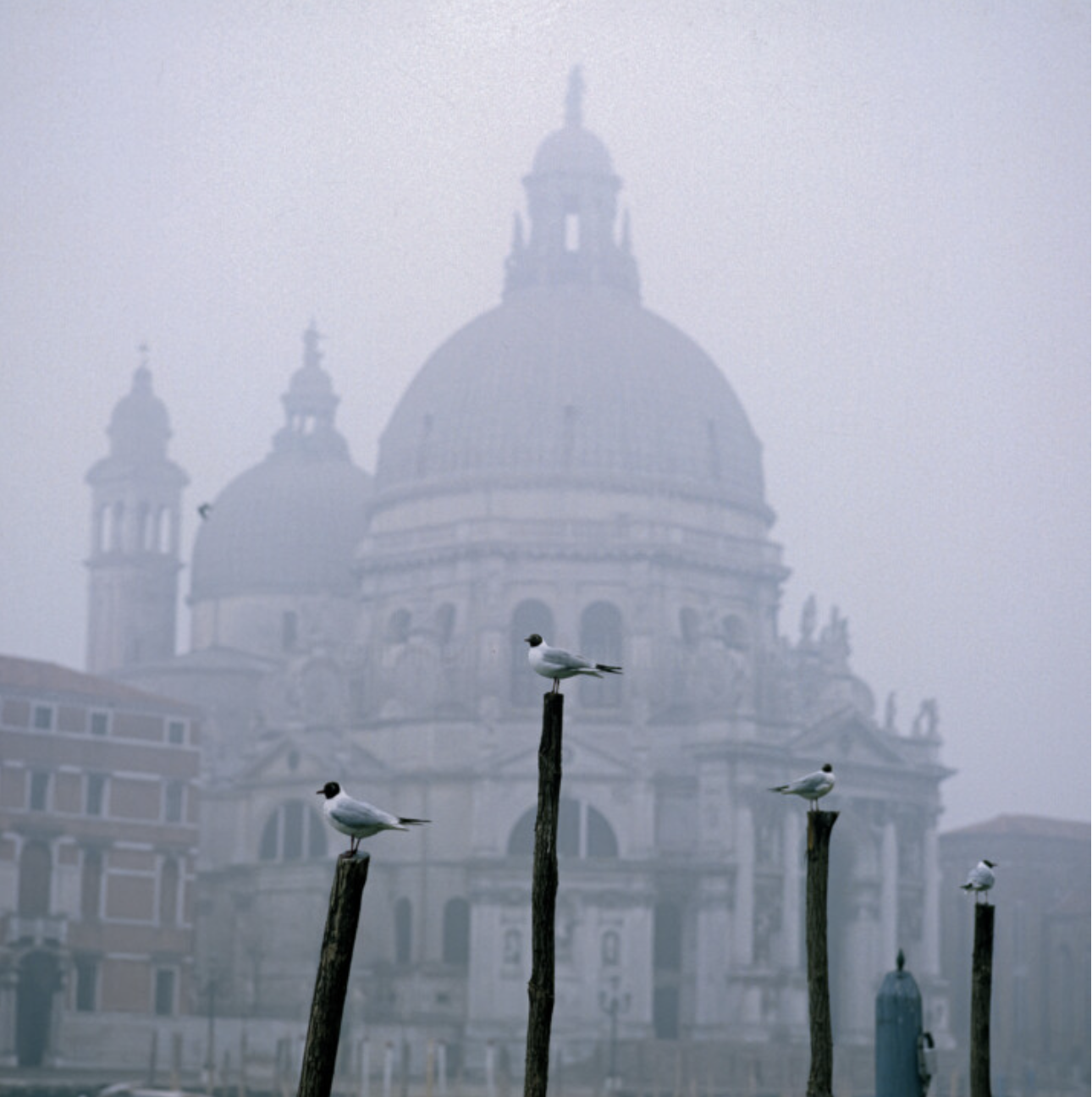 Artistic photography print Misty Morning on The Grand Canal in Venice by photographer Derek Harris