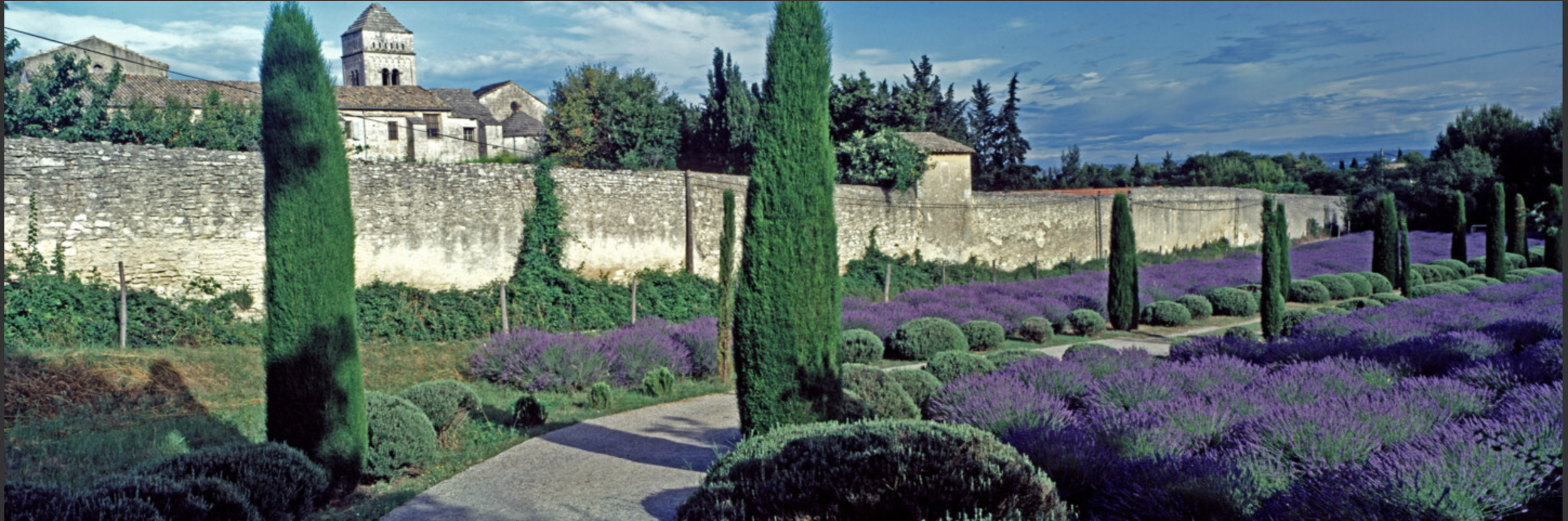 Artistic photography print The Lavender Garden At The Asylum Of St Remy De Provence by photographer Derek Harris