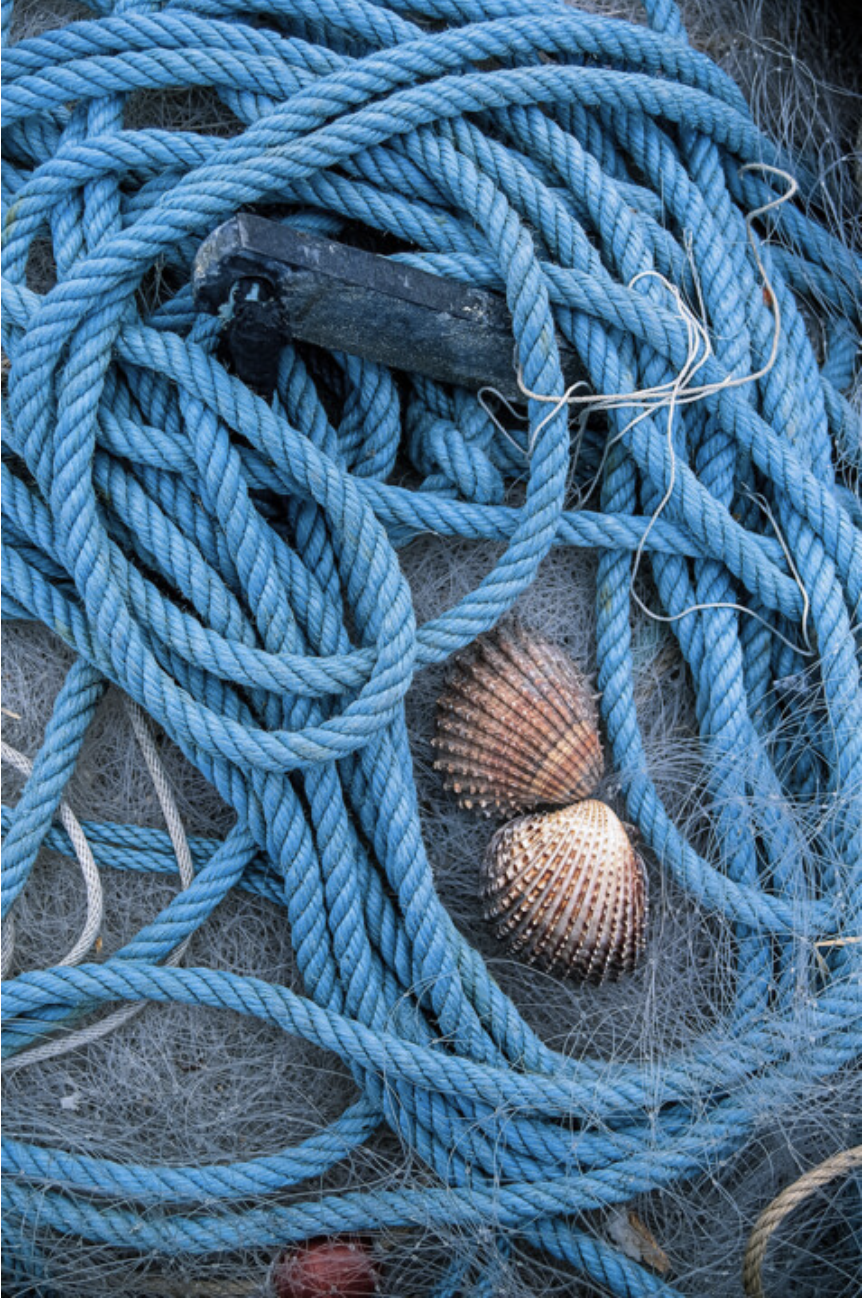 Artistic photography print Seaside Detail 3 by photographer Derek Harris