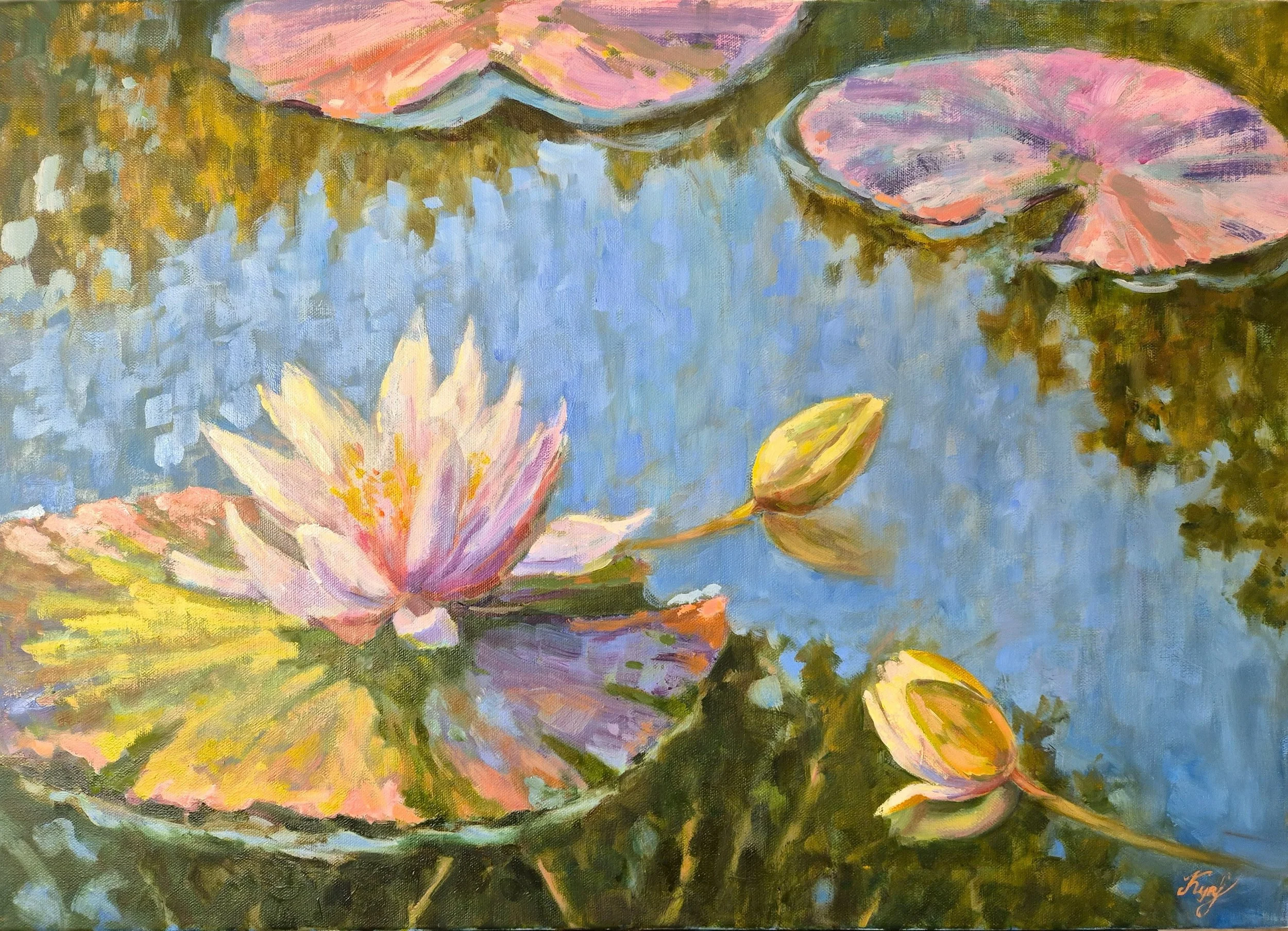 Water lily pond