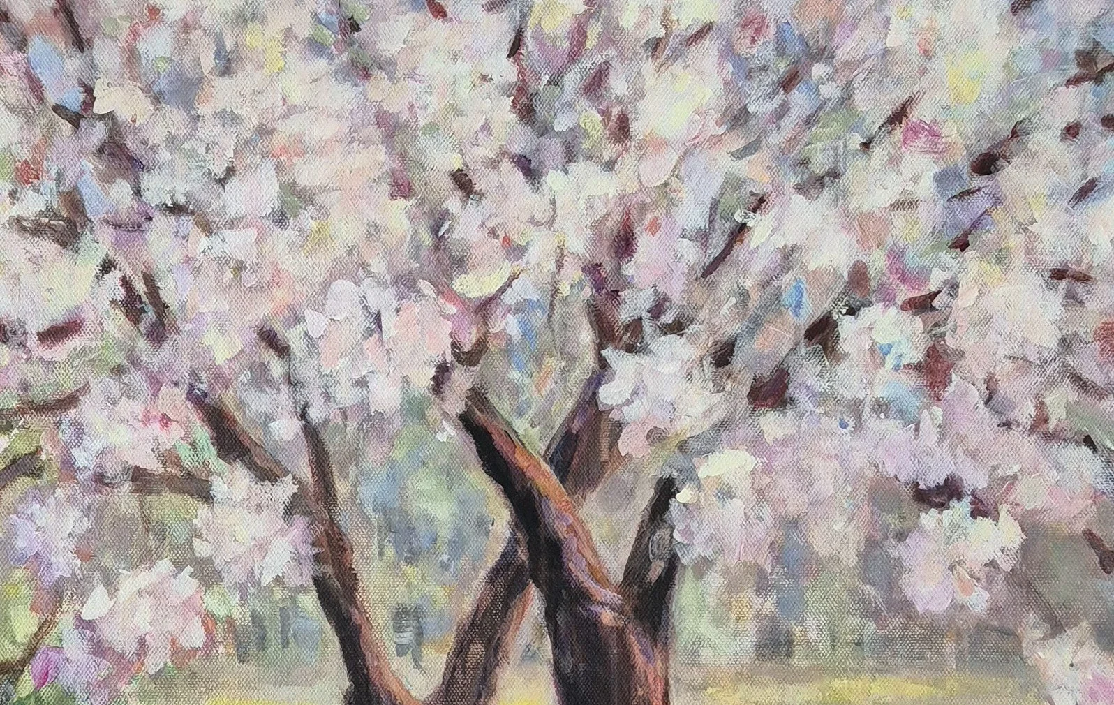 20250402_092656 det.jpg