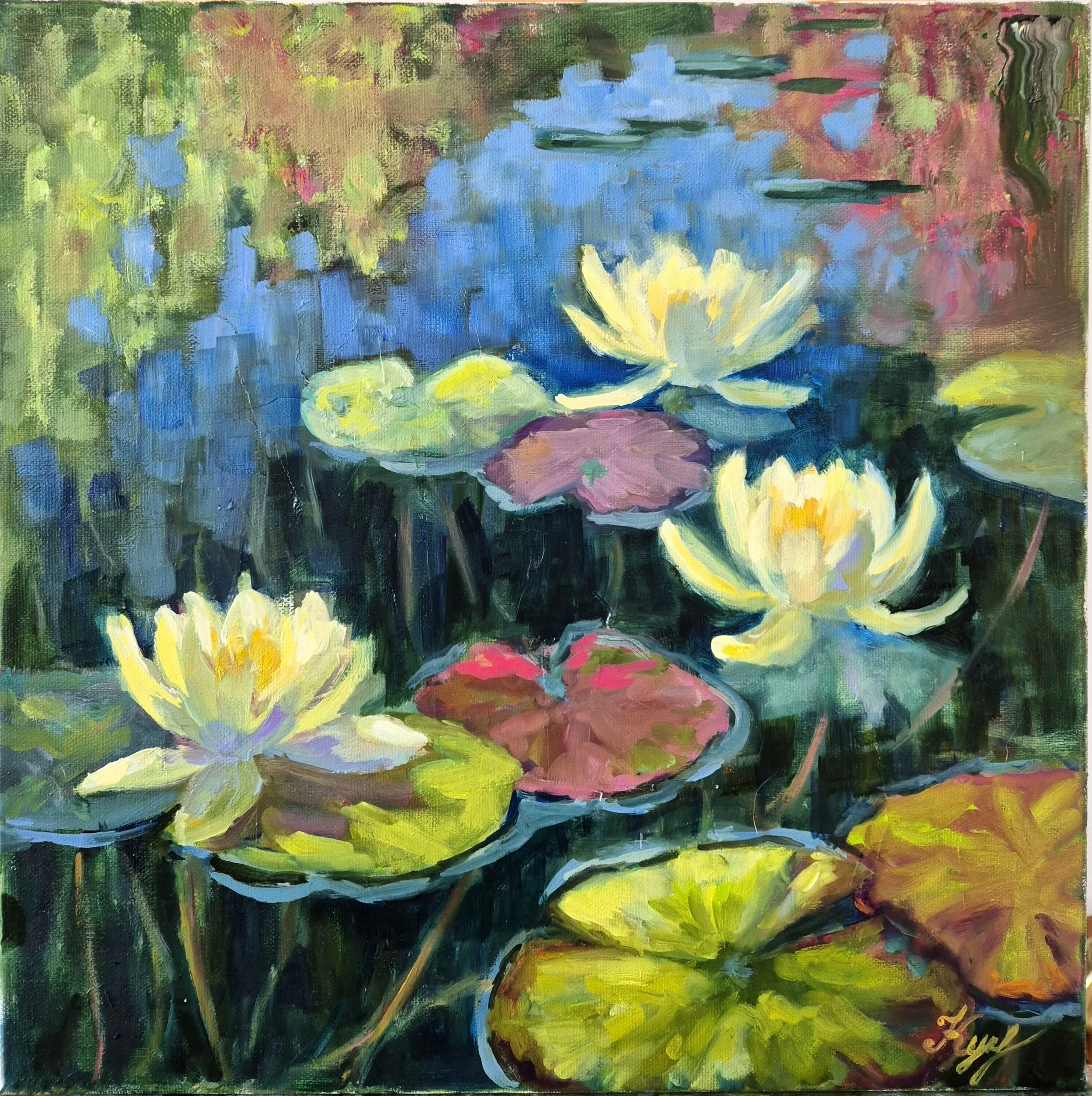 The Water lilies in full bloom