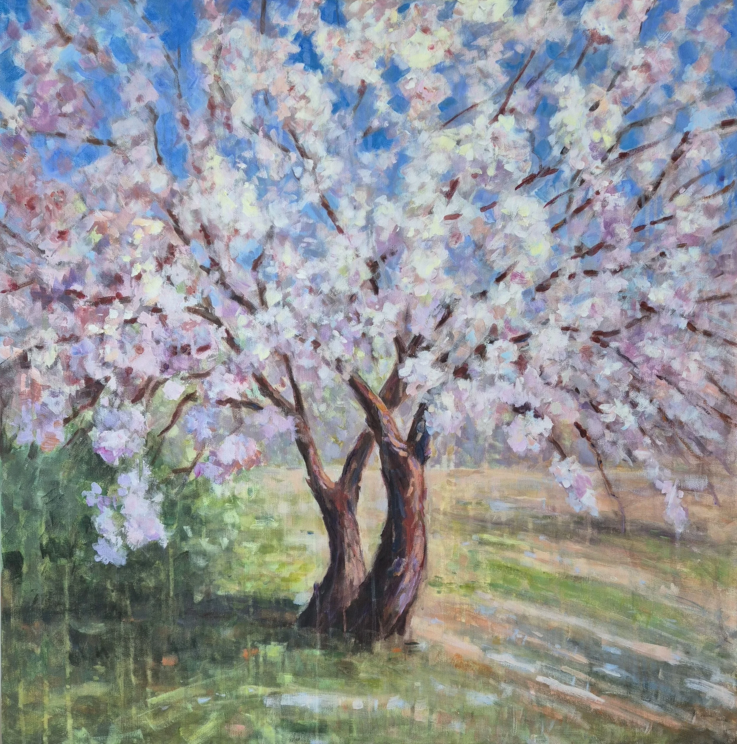 Almond Tree