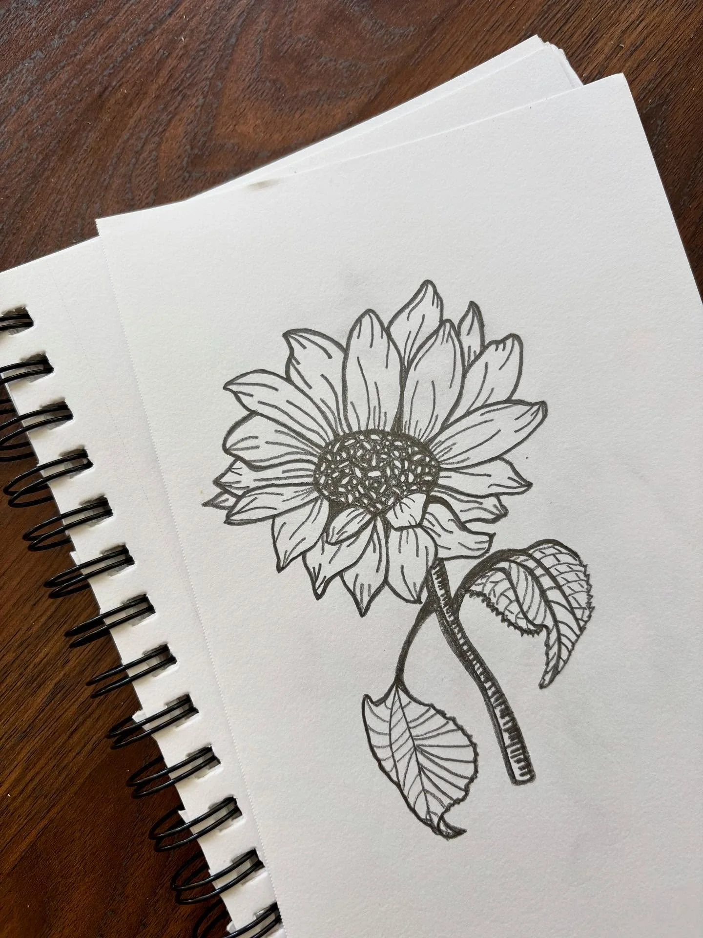 Always a sign that fall is near when the schedule &amp; sketchbook are filling up. 🌻🍂🍁🦉 Stay tuned for tee restocks and new designs hitting the shop soon! Plus some other fun in the works. 👀 
#vermontartist #vermontprint #vermontbyvermonters #sc