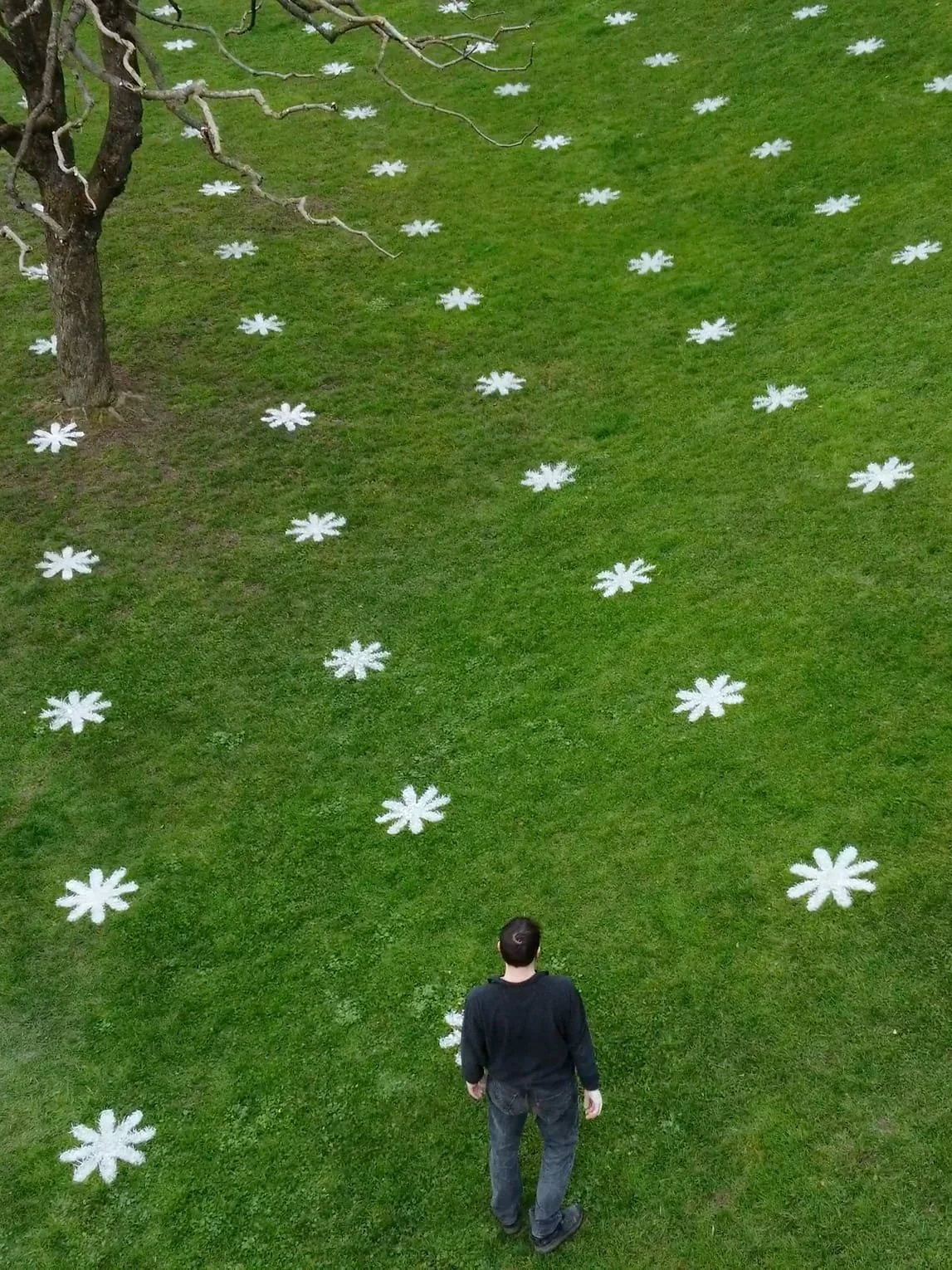 Aerial view of a large-scale, temporary BLUMENWIESE Land Art installation by Giulio Gallana on a grass lawn. The site-specific intervention made of white eco-friendly lime paint features graphic flower pictograms in a strict geometric pattern.