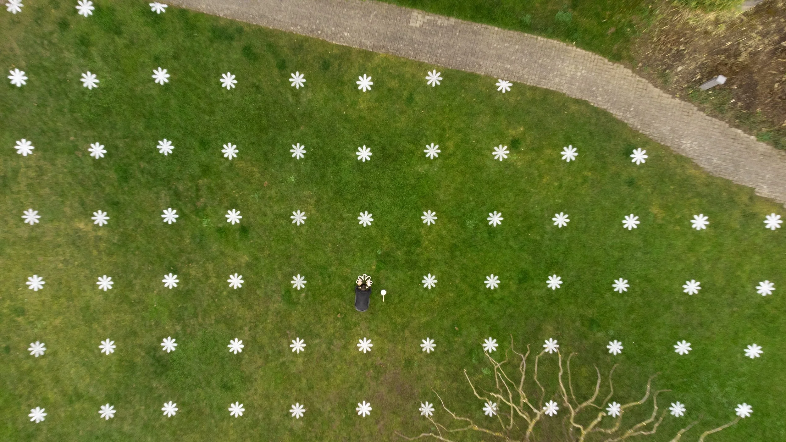 Blumenwiese-Top-View.jpg