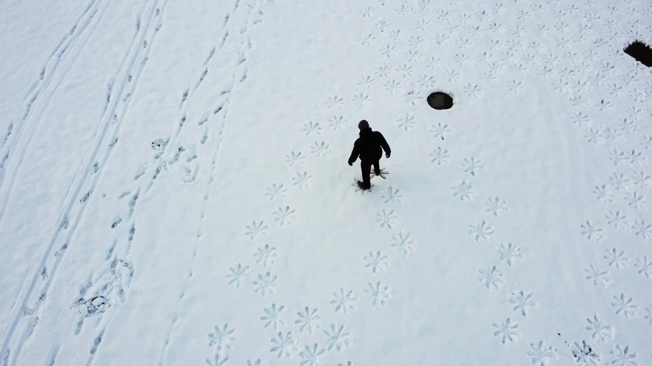 giulio-gallana-snowflower-land-art-installation-switzerland-2026.jpg