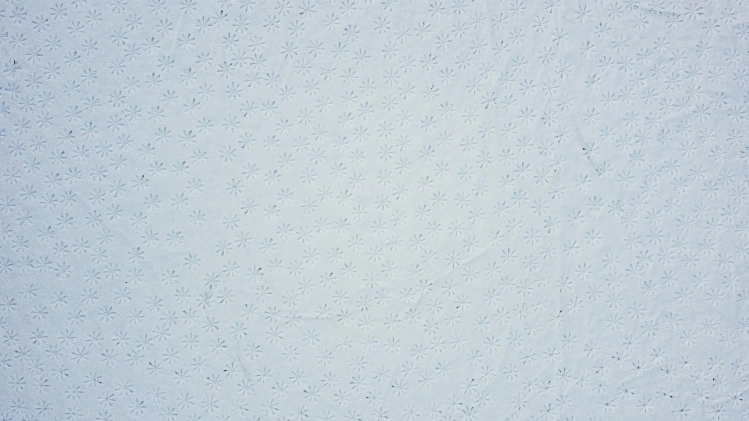 giulio-gallana-snowflower-land-art-installation-switzerland-2026(2).jpg