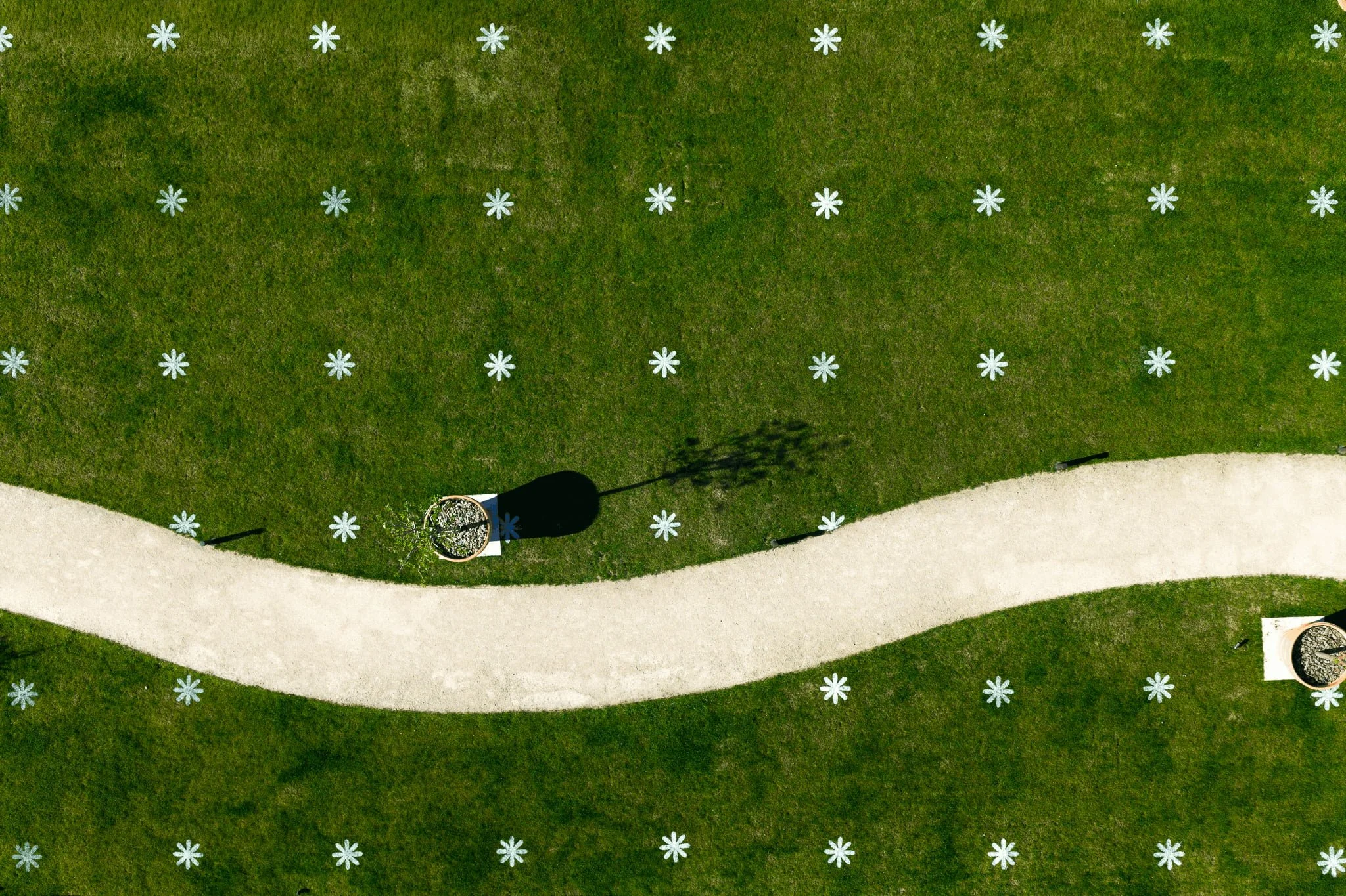 2026 | BLUMENWIESE