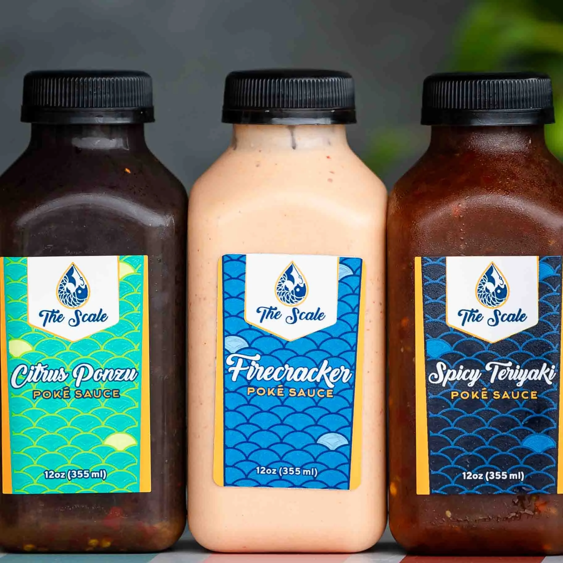 The Scale (edited)-77.jpg