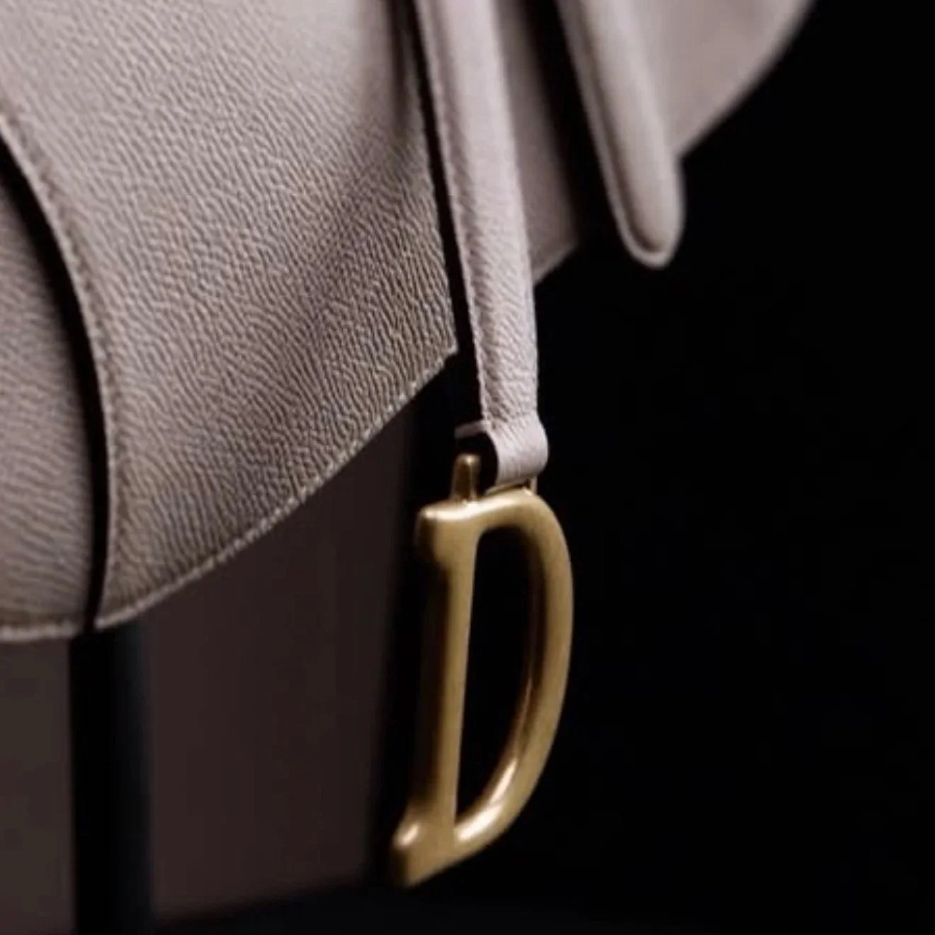 dior, Cuir Saddle