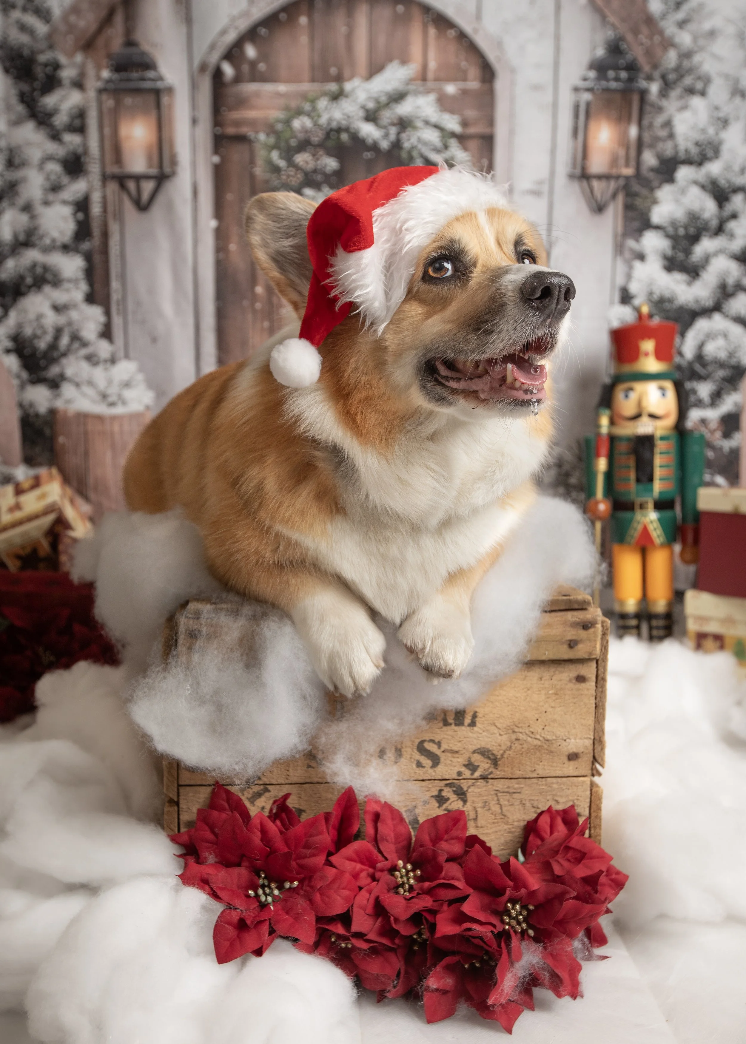 theparlourbeau6 (1 of 1).jpg