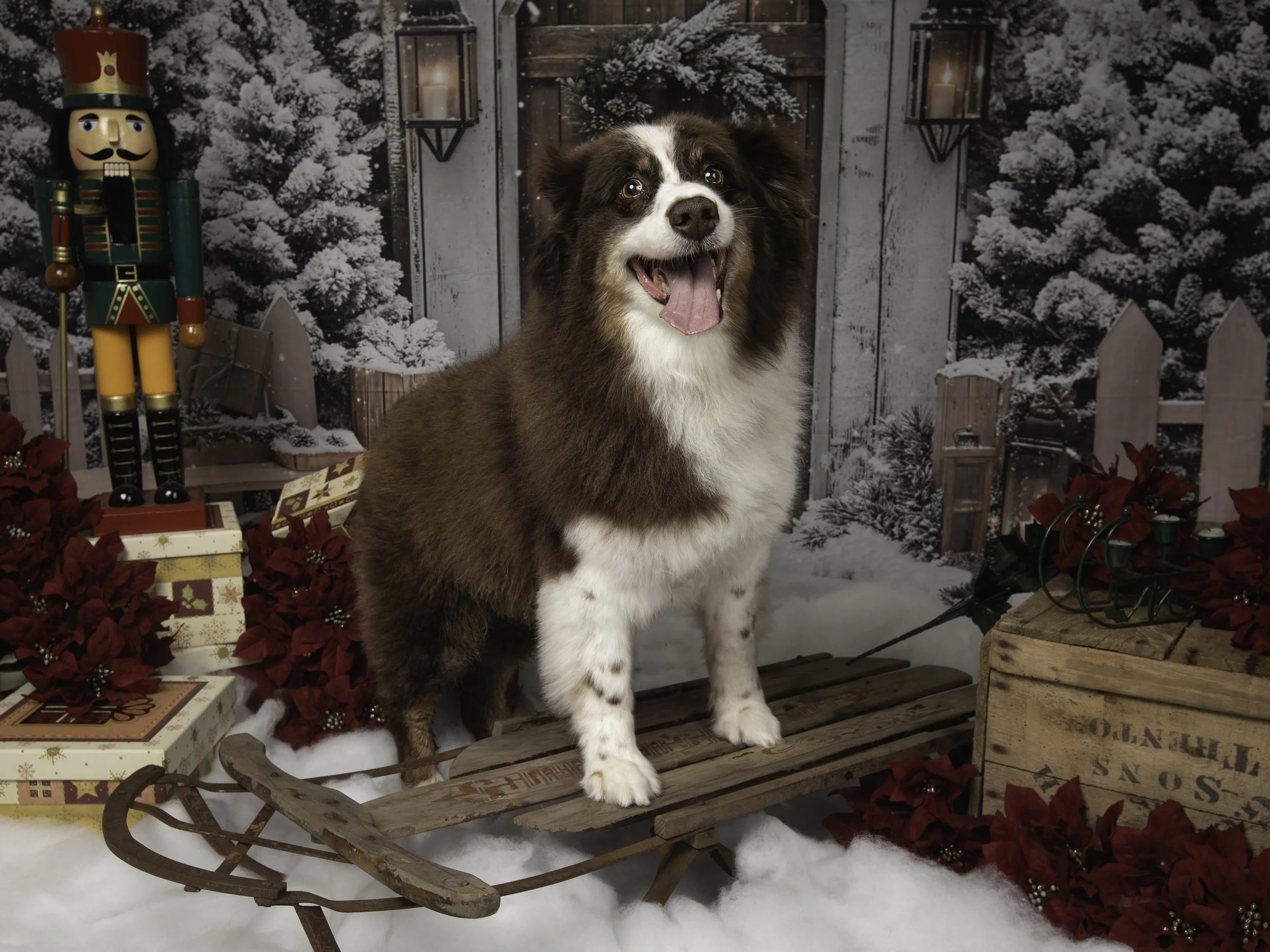 theparlourlola1 (1 of 1).jpg