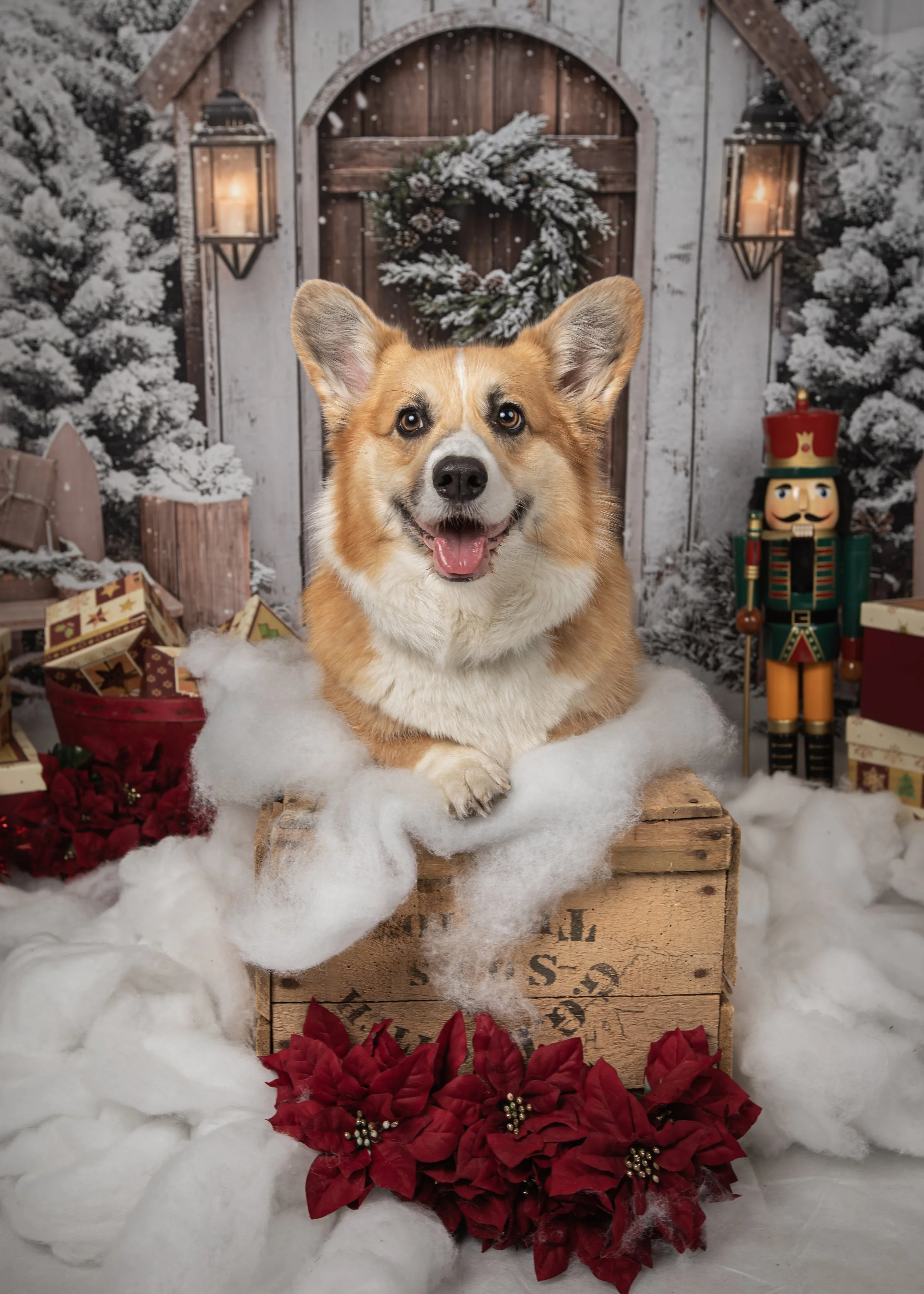 theparlourbeau1 (1 of 1).jpg