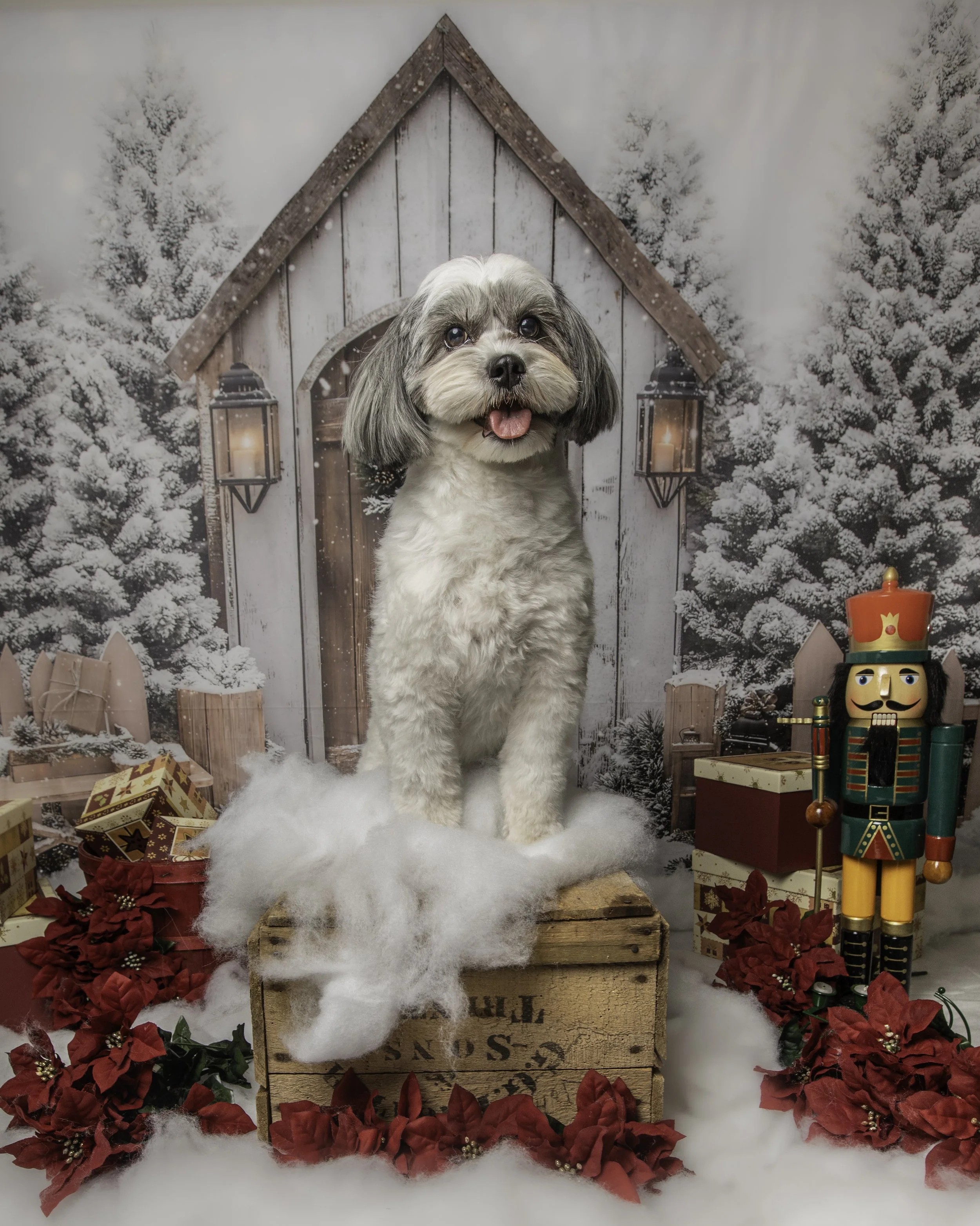 theparlourgracie2 (1 of 1).jpg