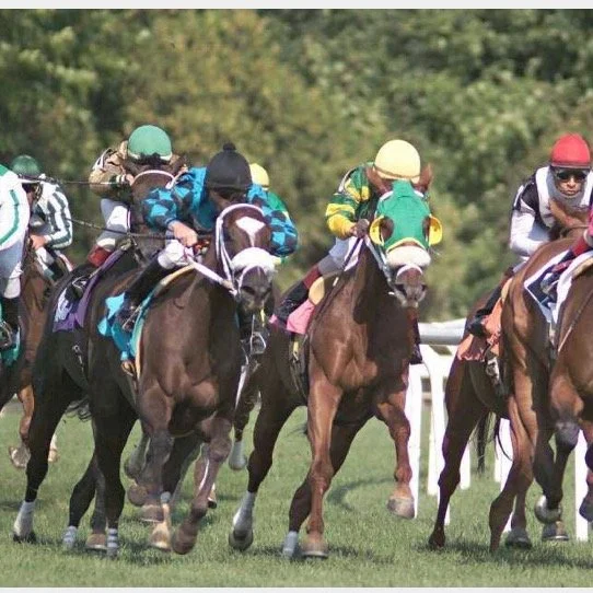 The Belmont Stakes Race Day at Island Cemetery is one week away! Don't miss out on the fun and the chance to support the Belmont Chapel preservation fund. Buy your tickets at: 
https://fbcic.betterworld.org/events/belmont-stakes-gala
There is lively 