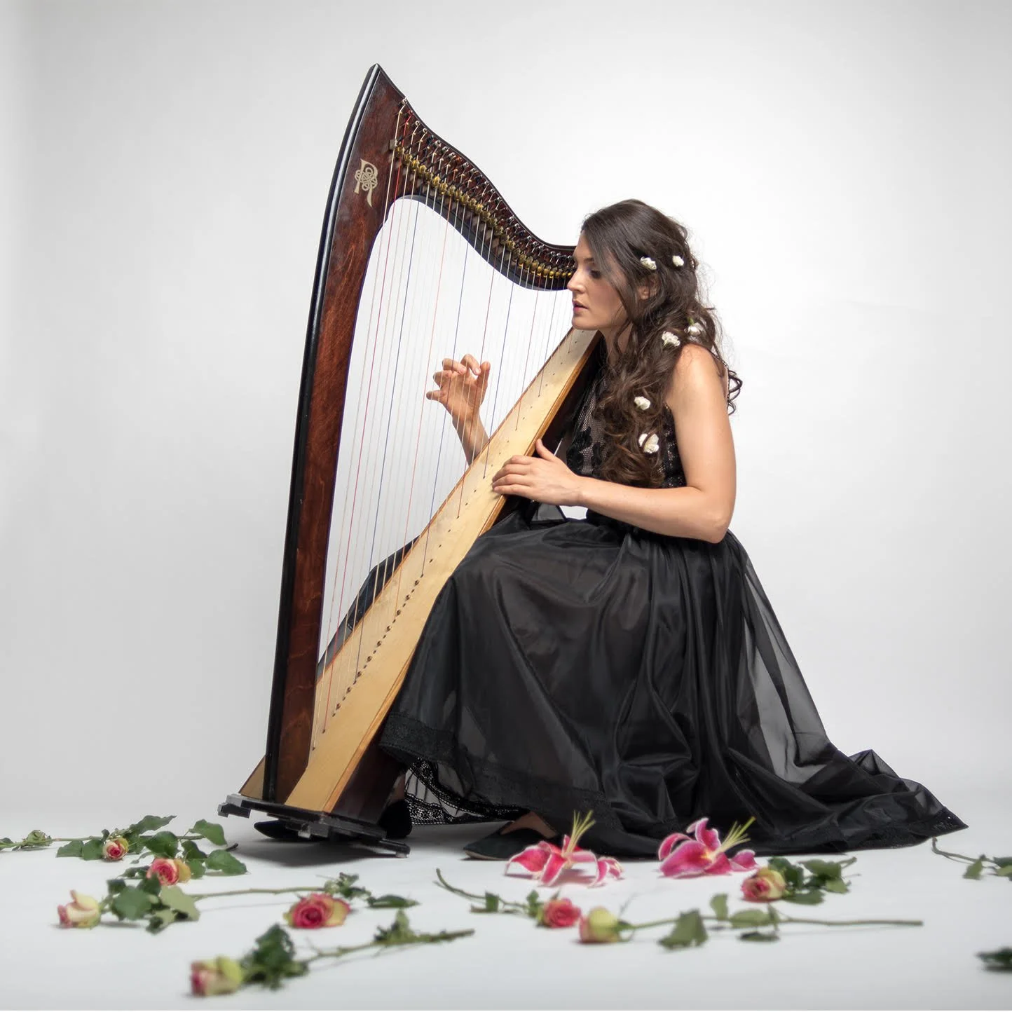 THISTLE - Concert of Edgar Allen Poe poems