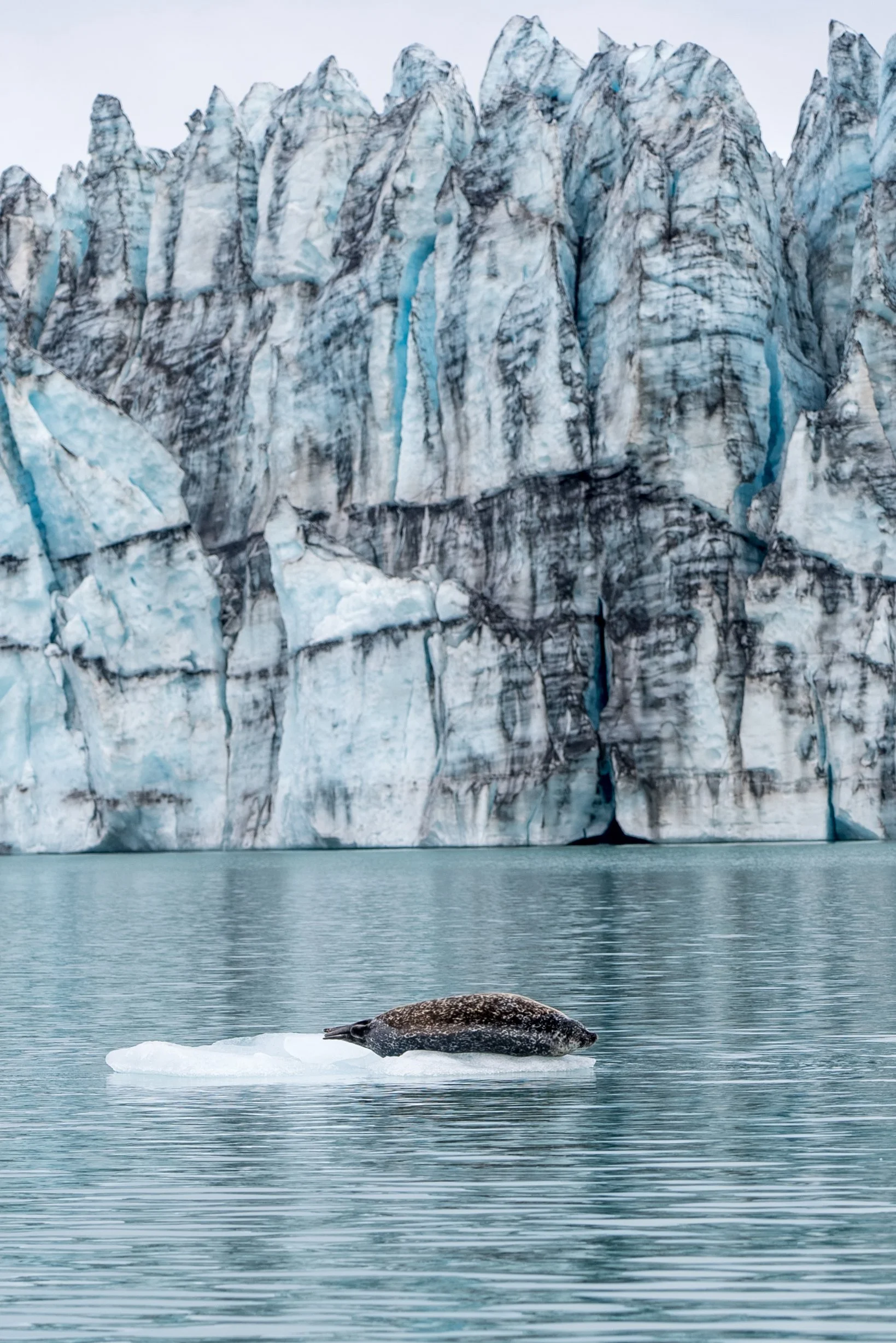 Iceland_Edits_122721-46.jpg