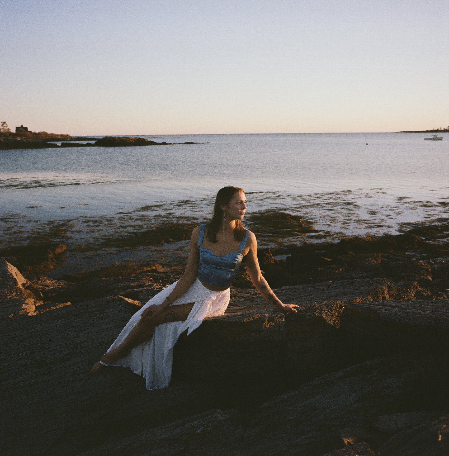 SHAKING OFF DUST & DREAMS