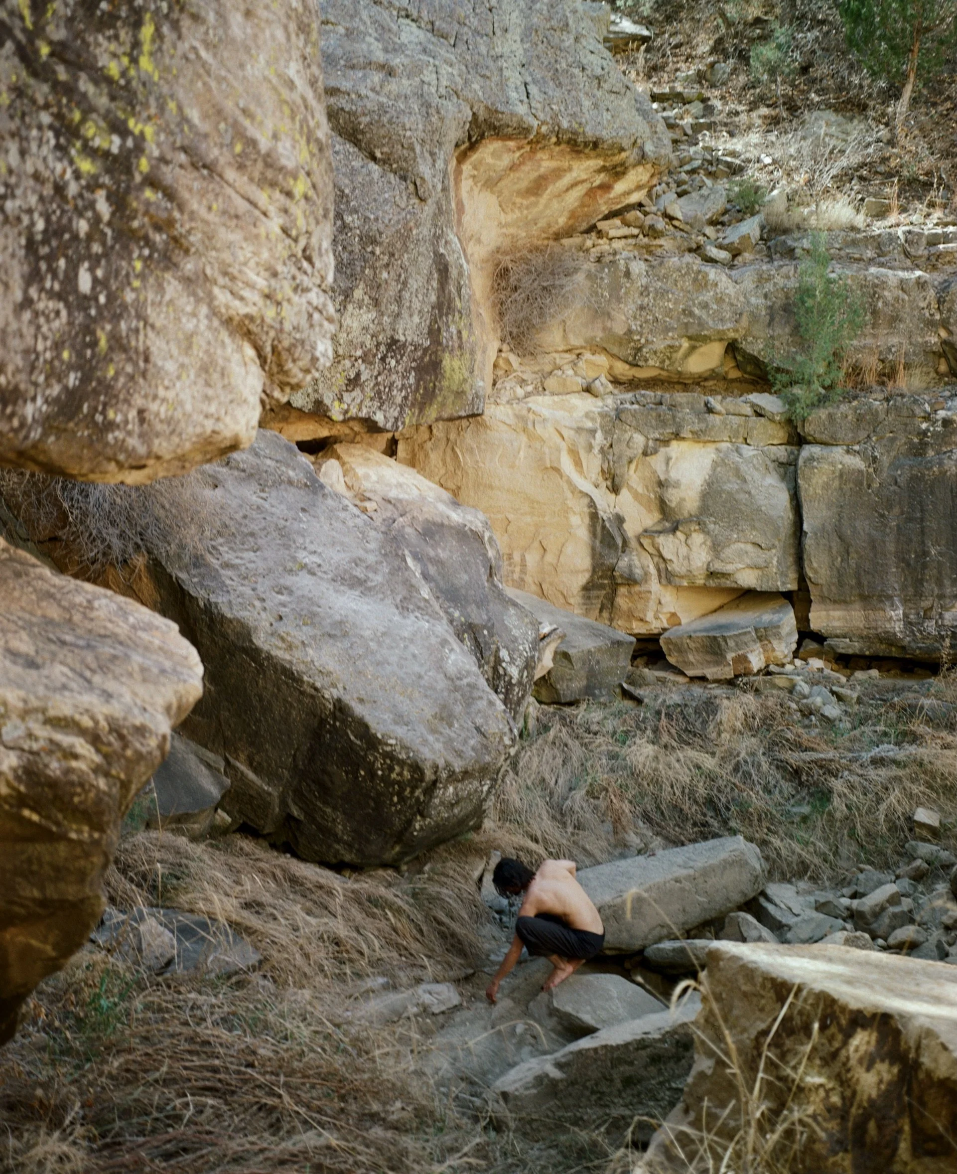 desert hymnal 

#kodakgold #mamiya7 #mediumformat