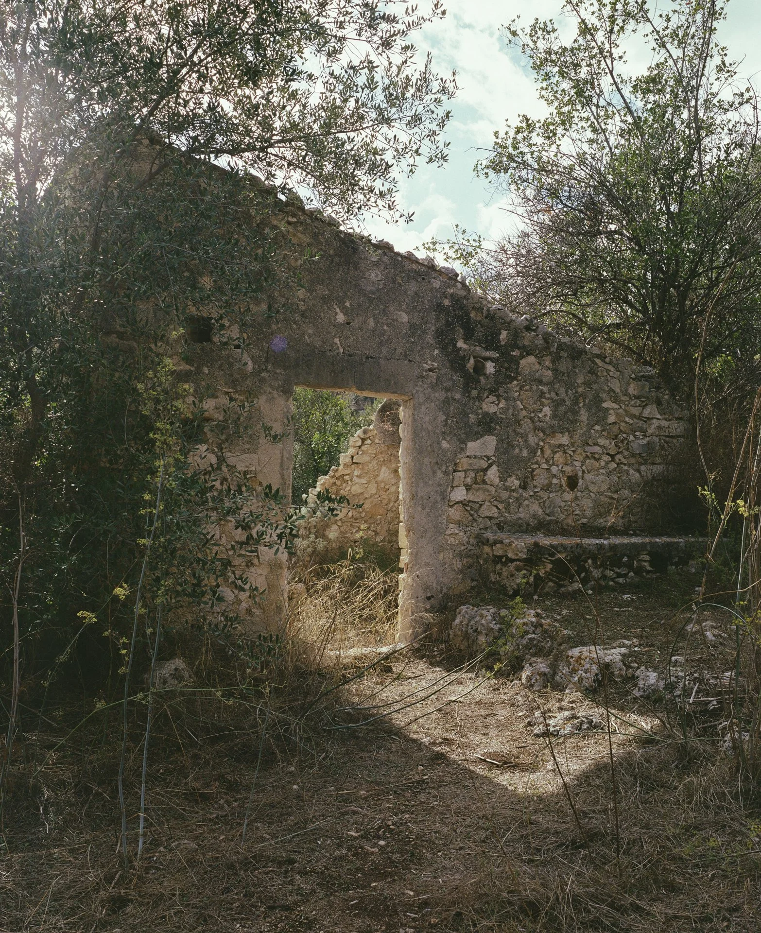 898415080007_4.jpg