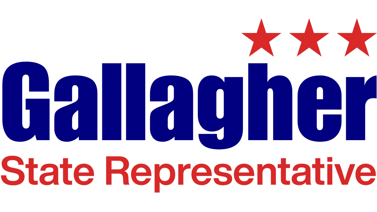 Dennis Gallagher for Rep