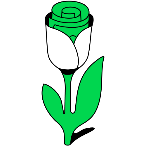 tulip.png