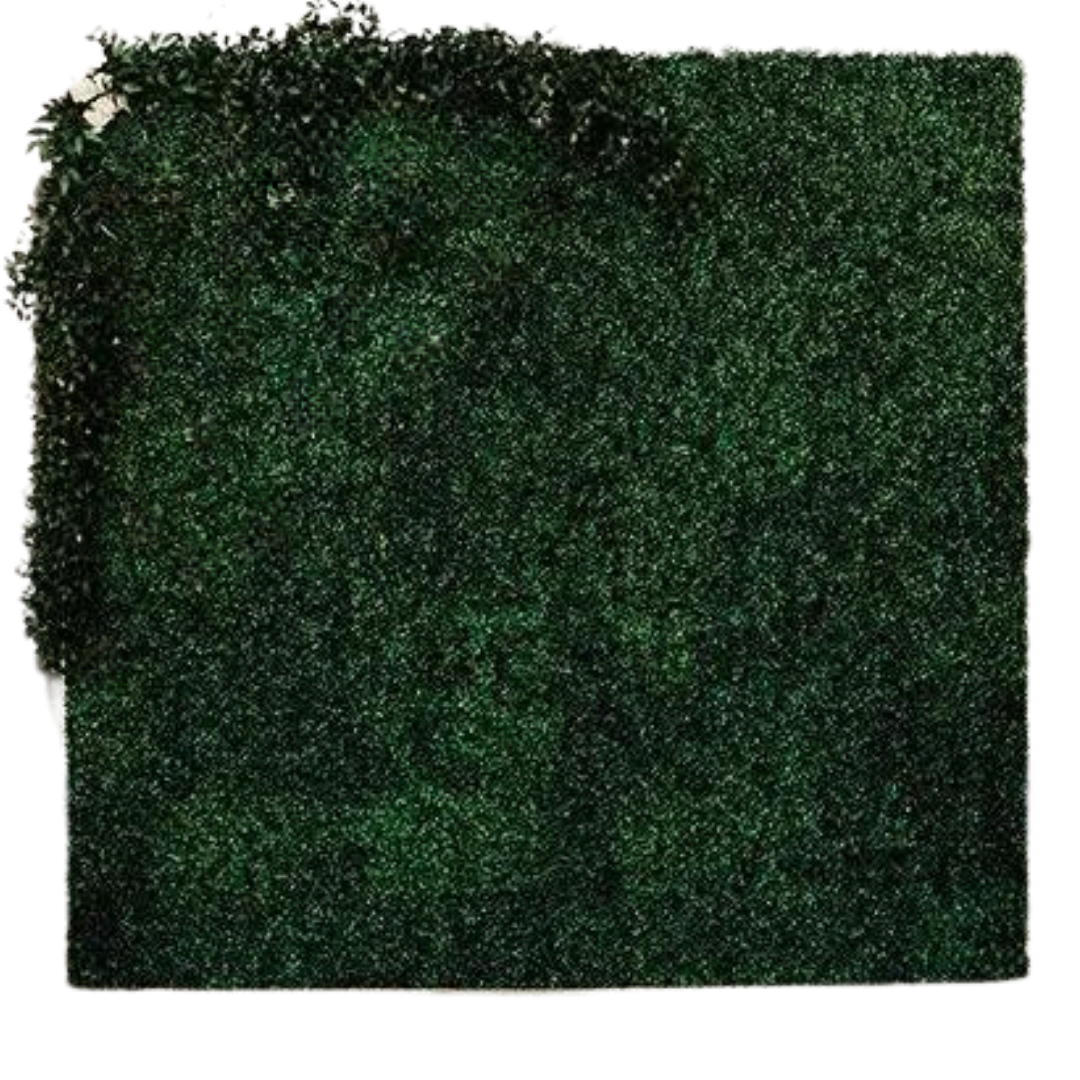 Boxwood_Wall_picmephotobooth_backdrop
