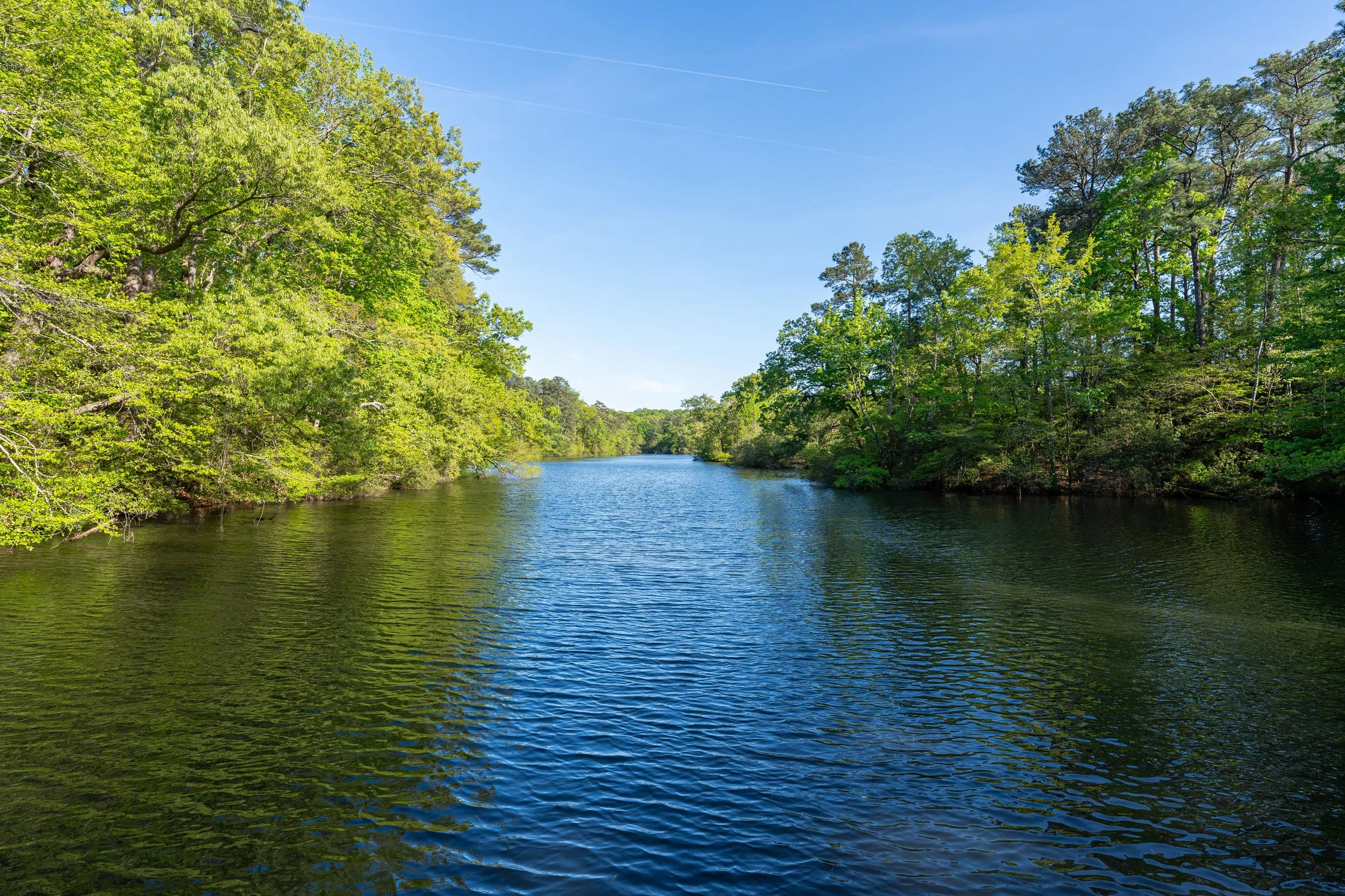 Mariners' Lake and the Noland Trail.jpg
