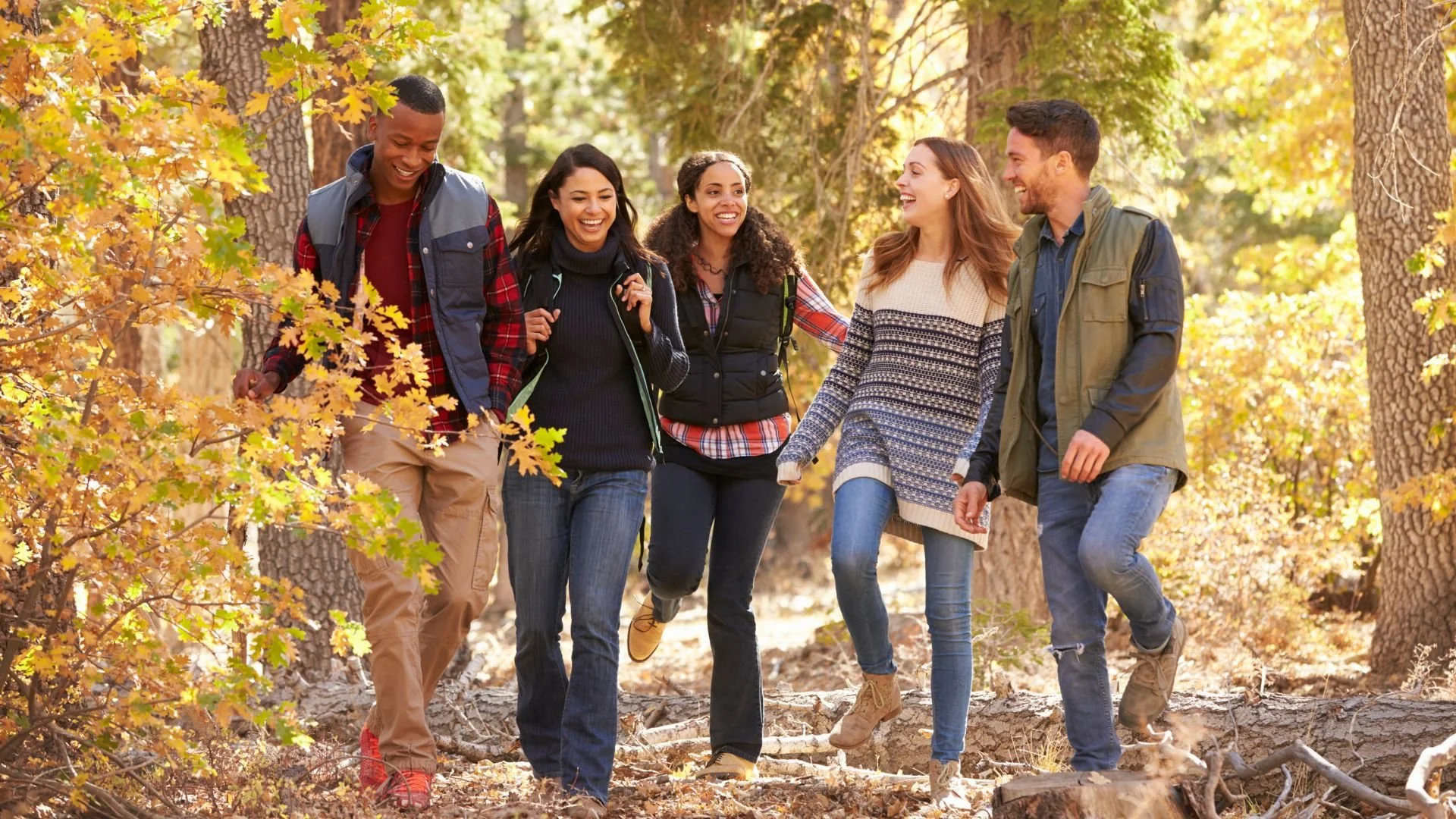 Friends in the woods.jpg