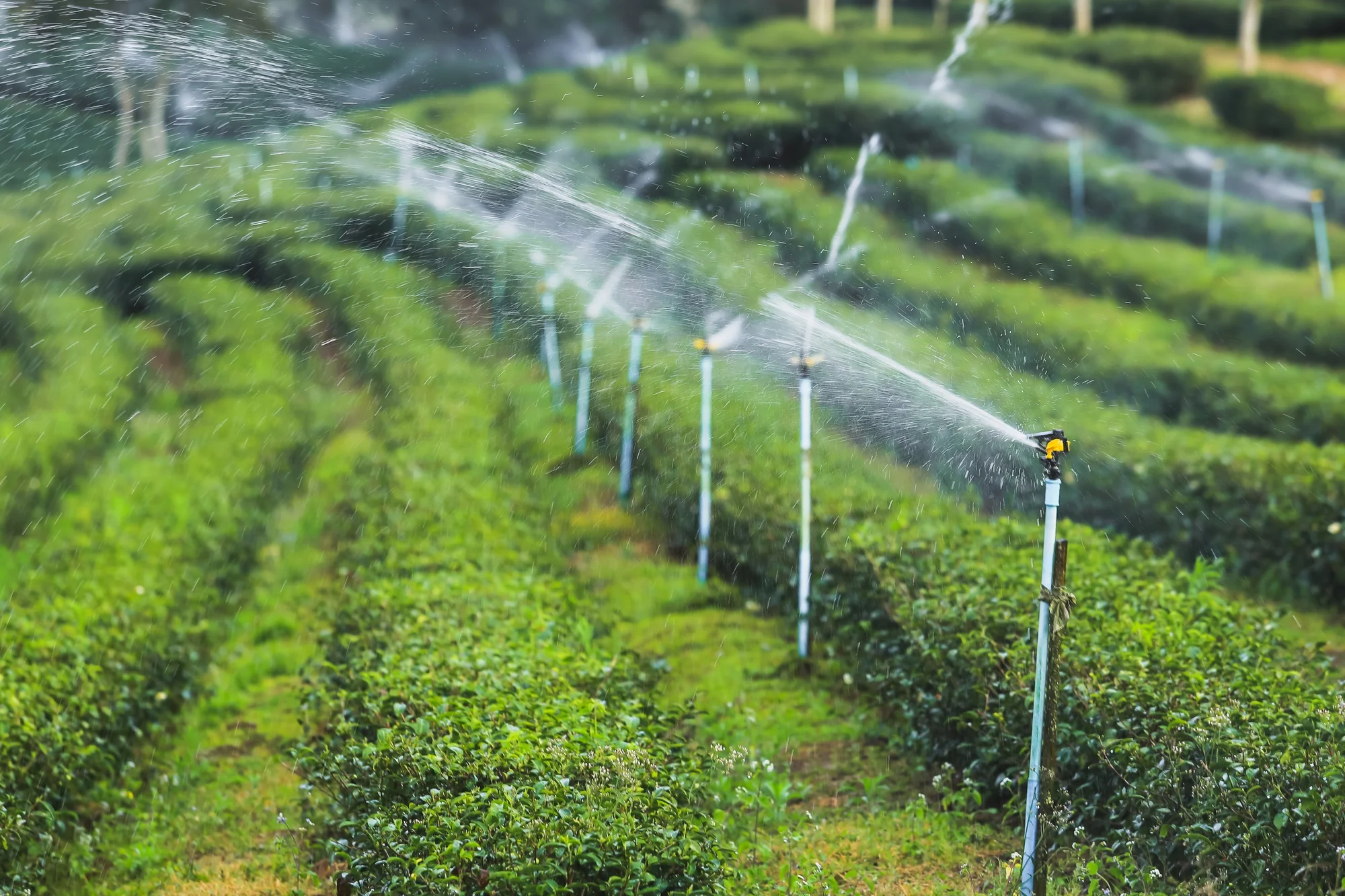 BarrierFlow_Agricultural_Water_Management.png