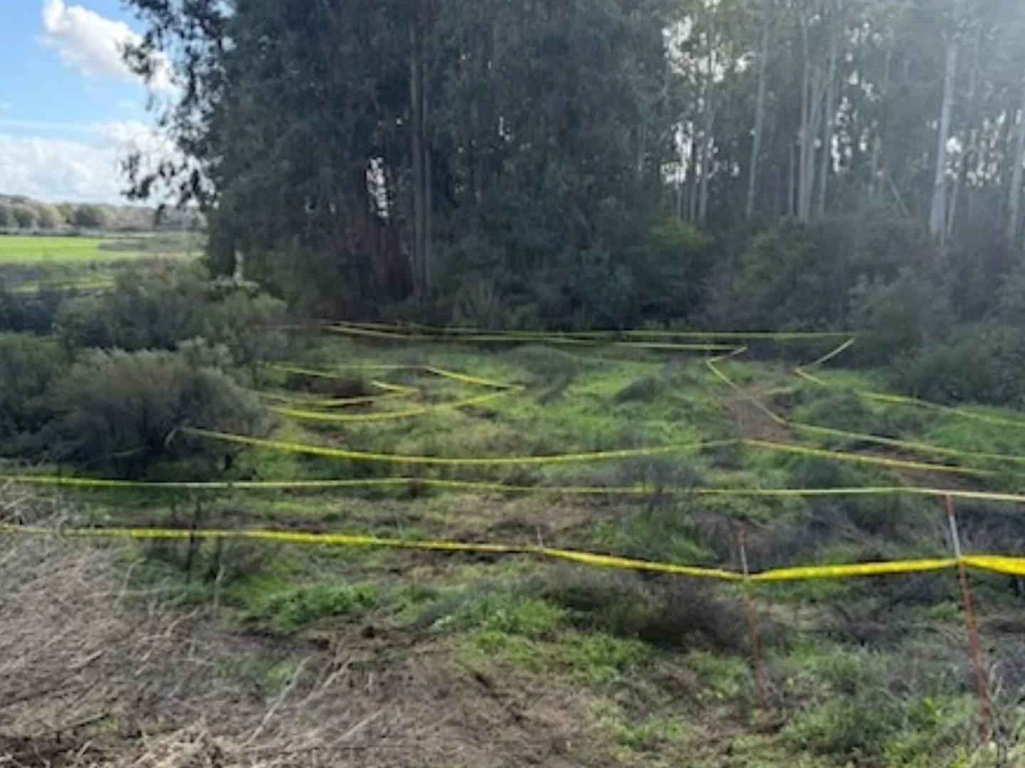 Who's ready for #peakseasoncx with #truecrossconditions? See you tomorrow, for the start of eight straight Sundays of #cyclocross, #shorttrackgravel, and #shorttrackmtb!

Perfect training for all those @nationalmtb racers, who get to race for free! A