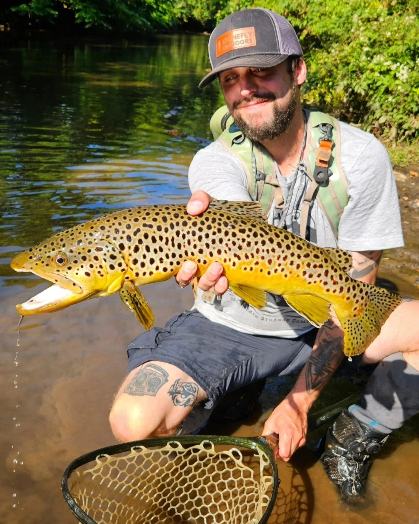 Lets go fishing. We're back at it. Also theyre putting in some mo' fish for yall to play with on the public waters soon (swipe to see)  Whether you wanna float the South Holston river in East TN or the Tuck in NC, wade some public waters in the mount