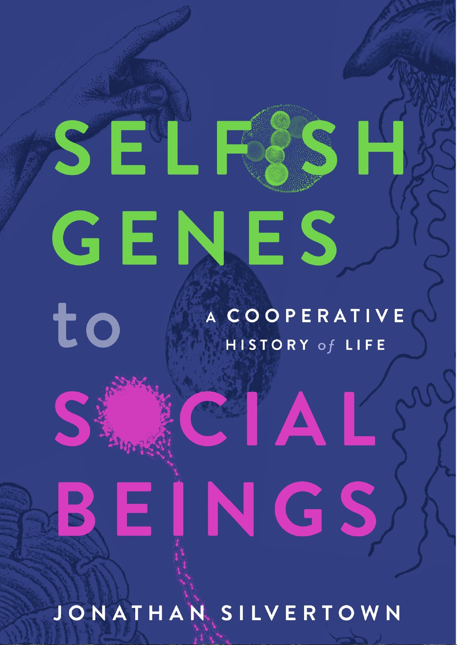 Selfish genes.jpg