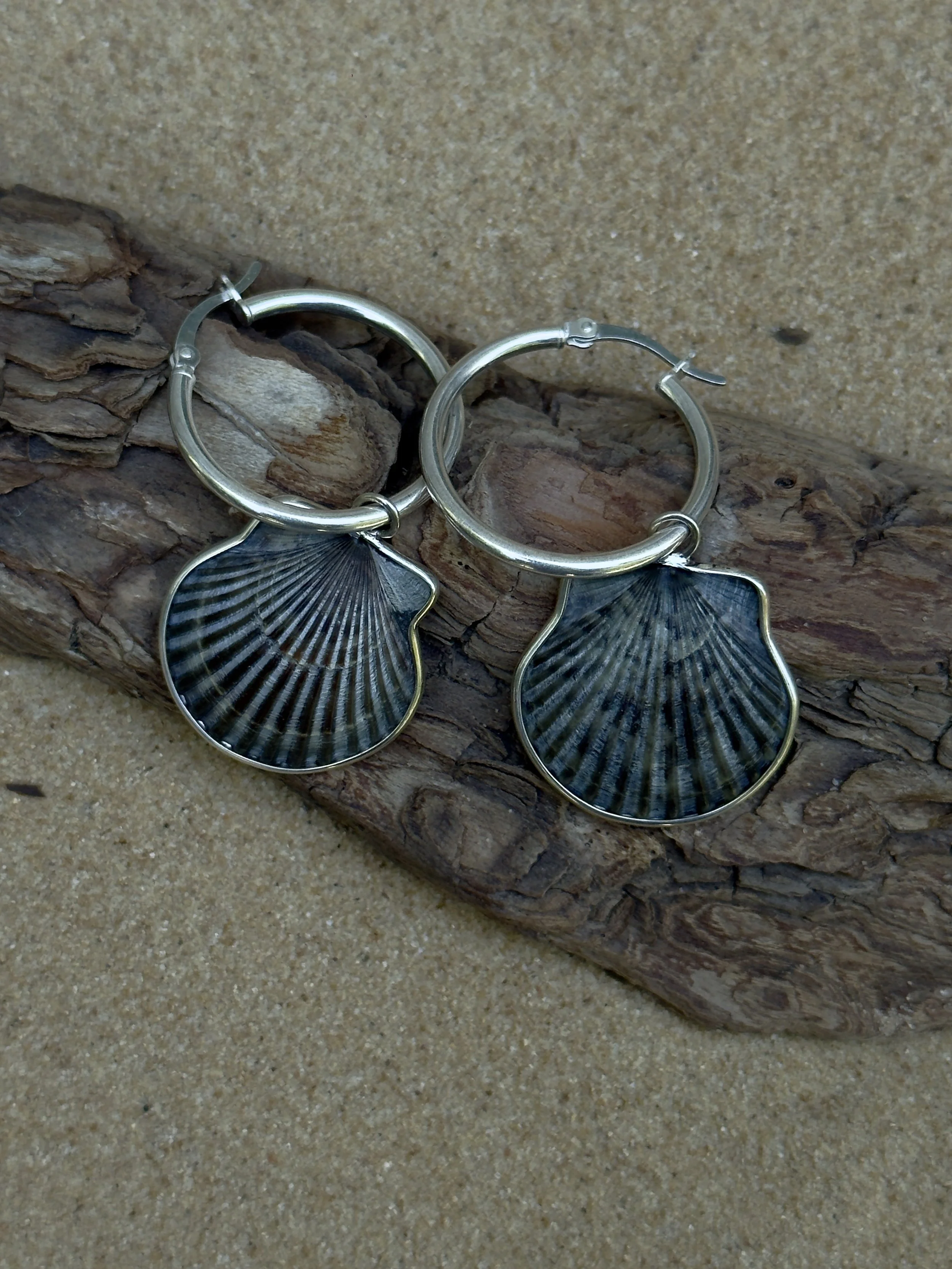 Silver Shell Hoops