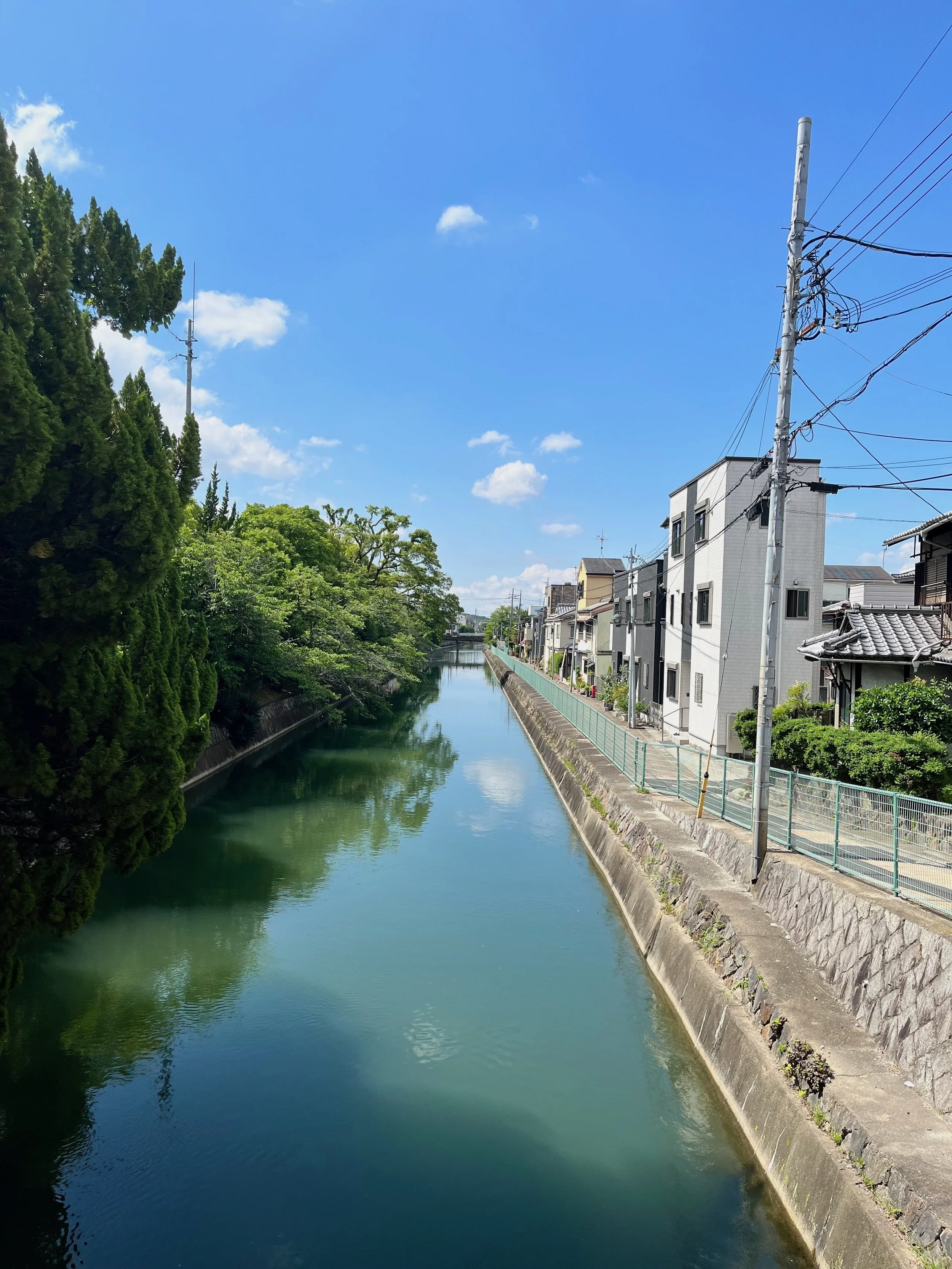 IMG_1379.jpeg