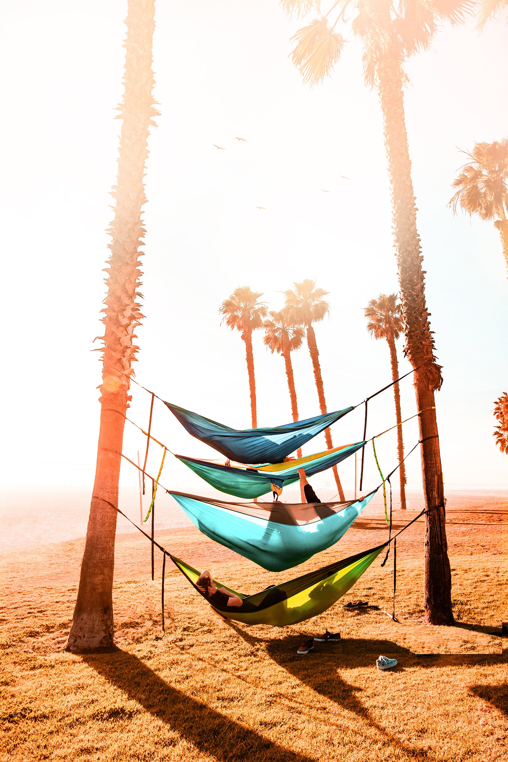 SurfCityHammocks.jpg