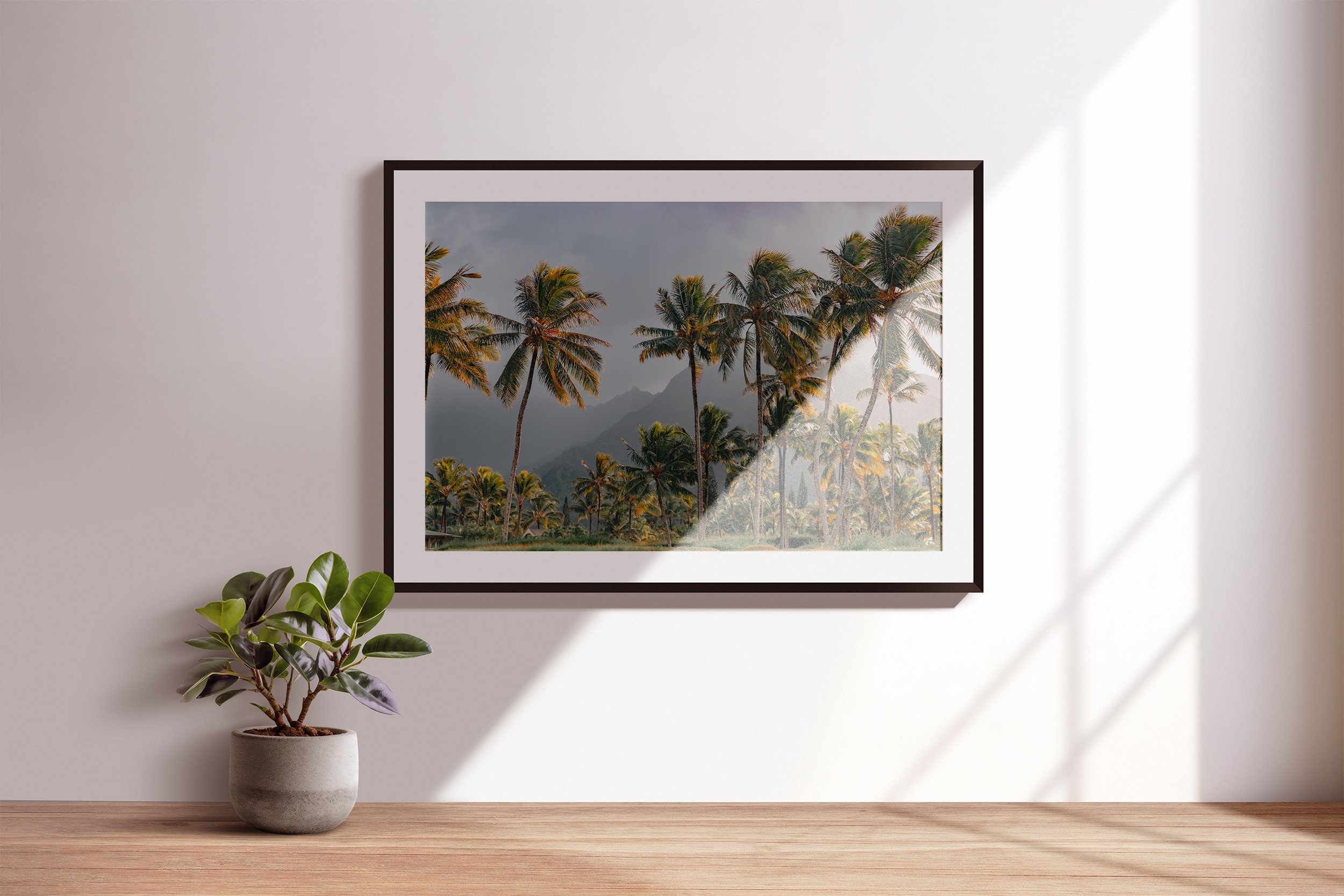 LongneckerPrints-Hanalei-1-c.jpg