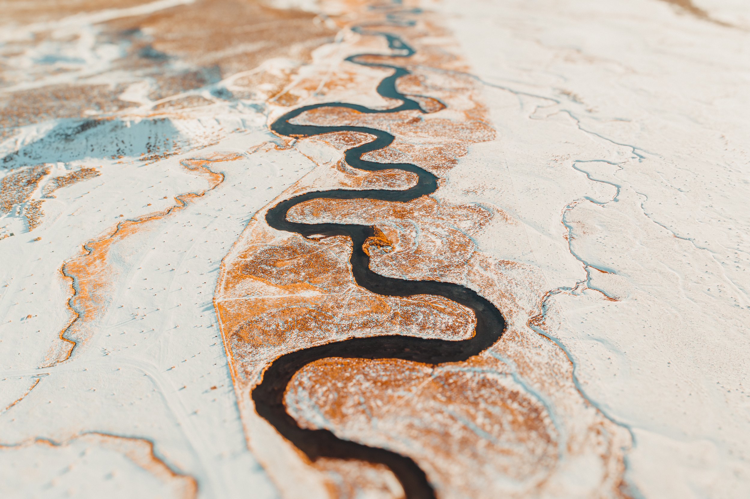 LongneckerPrints-windyriver-1.jpg